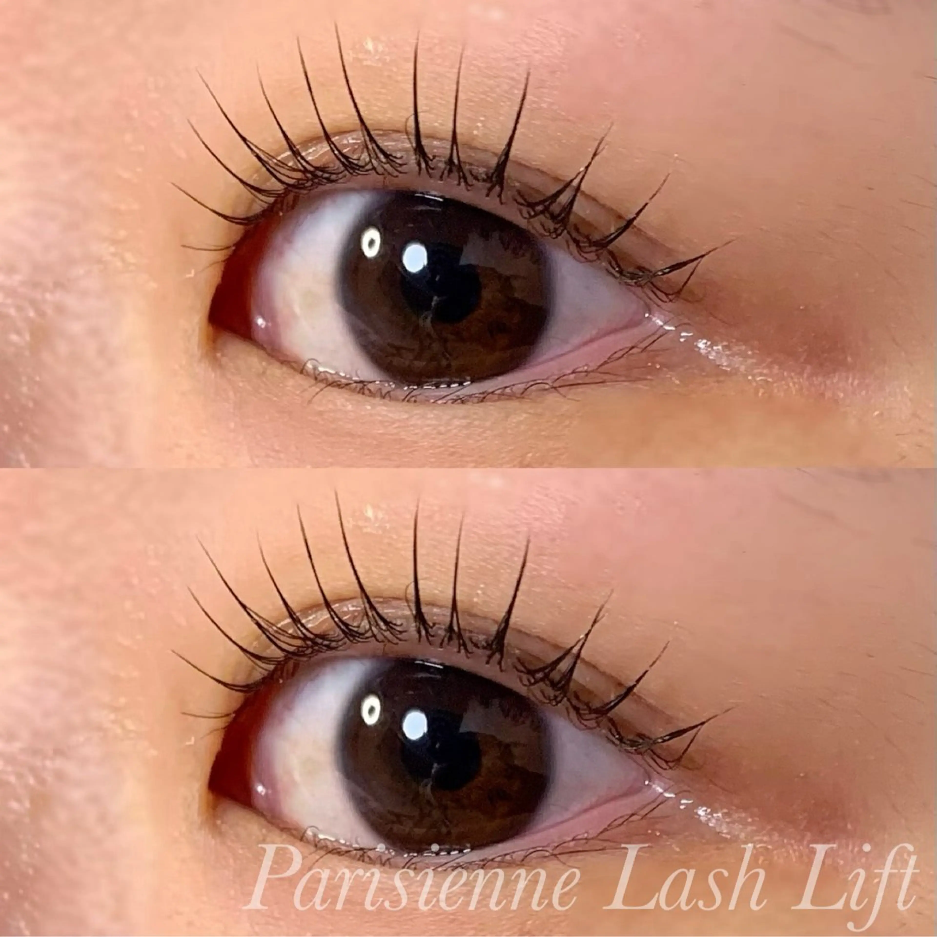 マツエク・マツパ パリジェンヌラッシュリフト マツパ Ayumi.pro 🍆N《4階》のマツエク・マツパデザイン