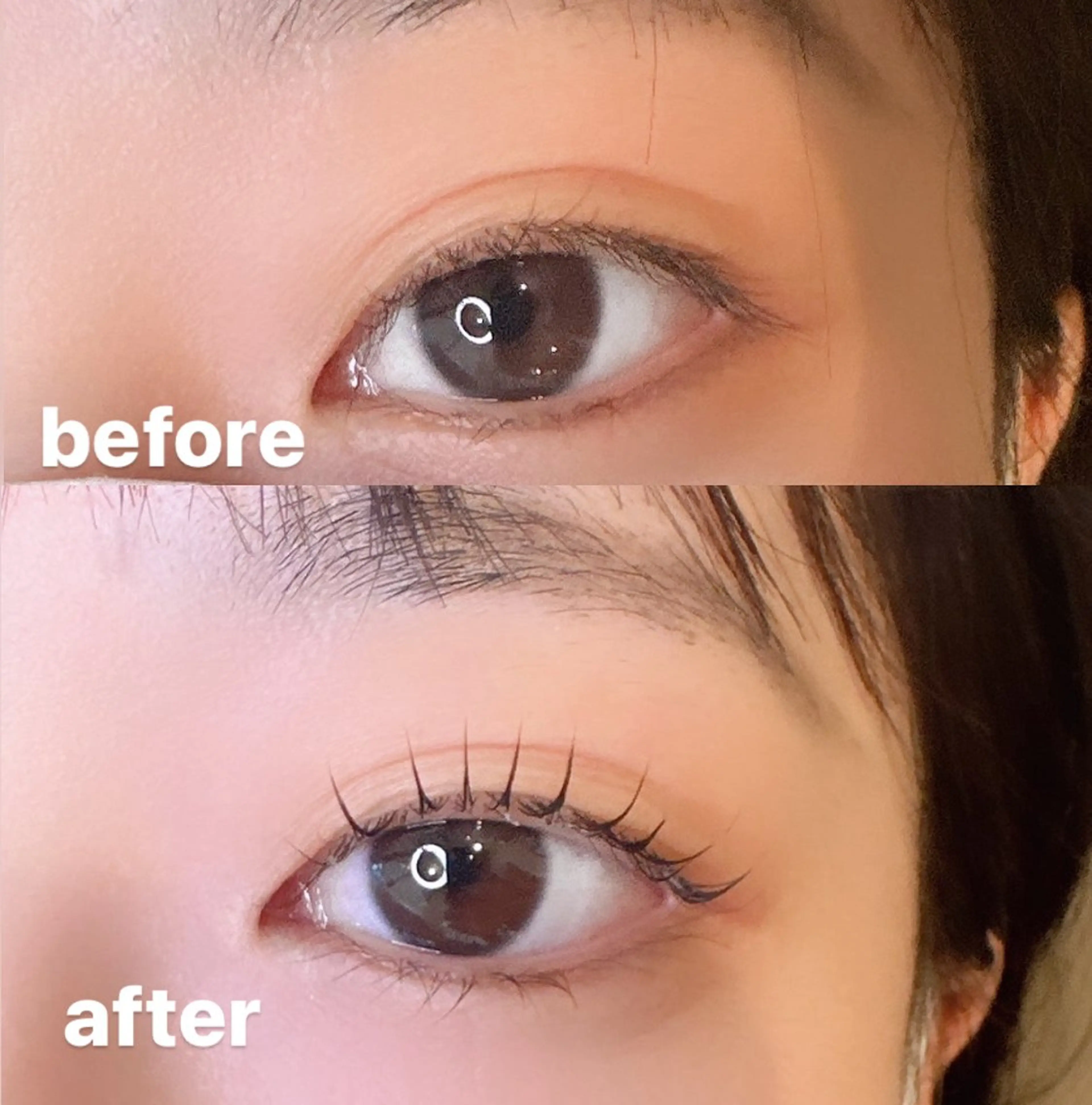 マツエク・マツパ Elan所属・RIKO 🦋のマツエク・マツパデザイン