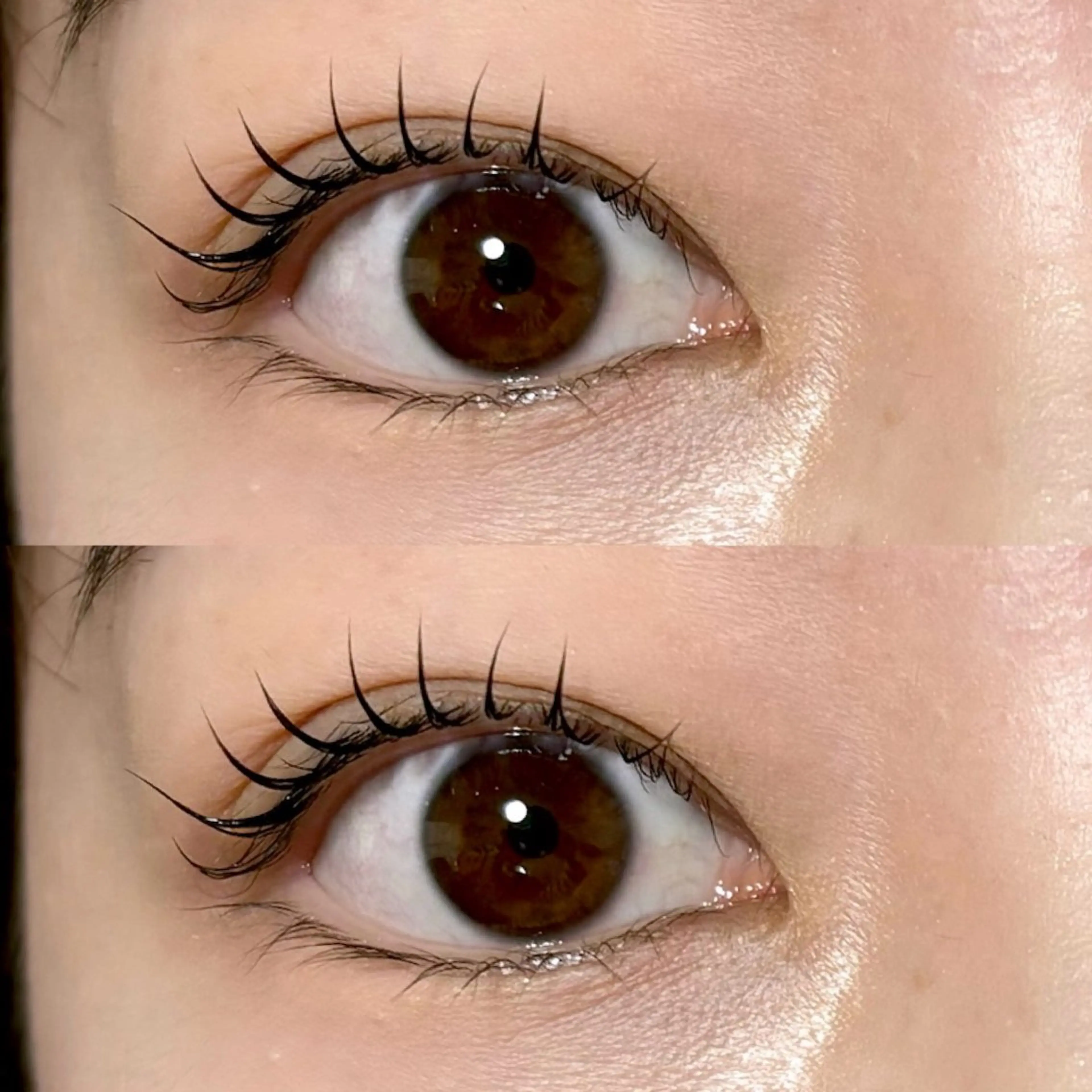 🦋まつげパーマ¥3300✨の写真