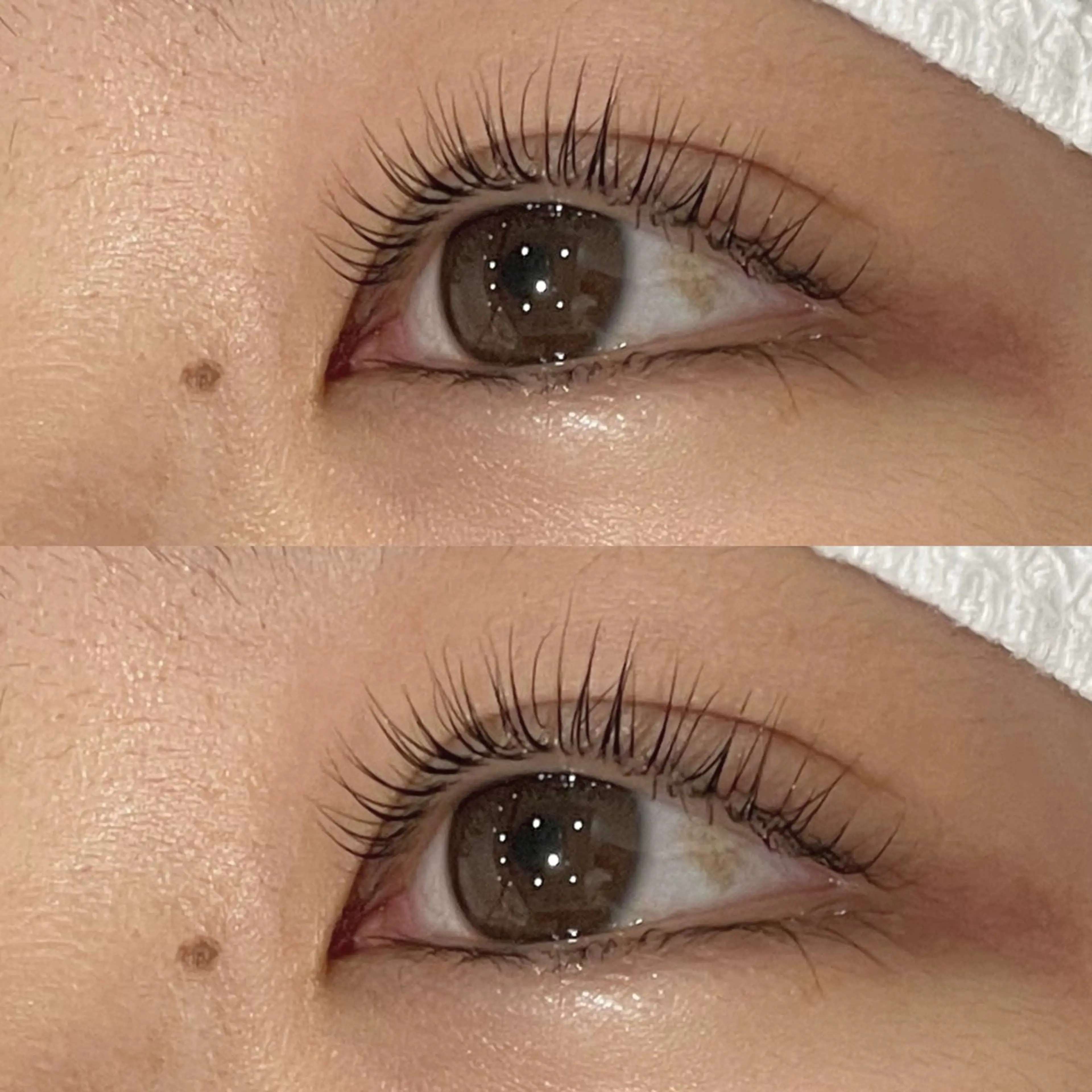 マツエク・マツパ マツパ PROGRESS 🤍白井🤍のマツエク・マツパデザイン