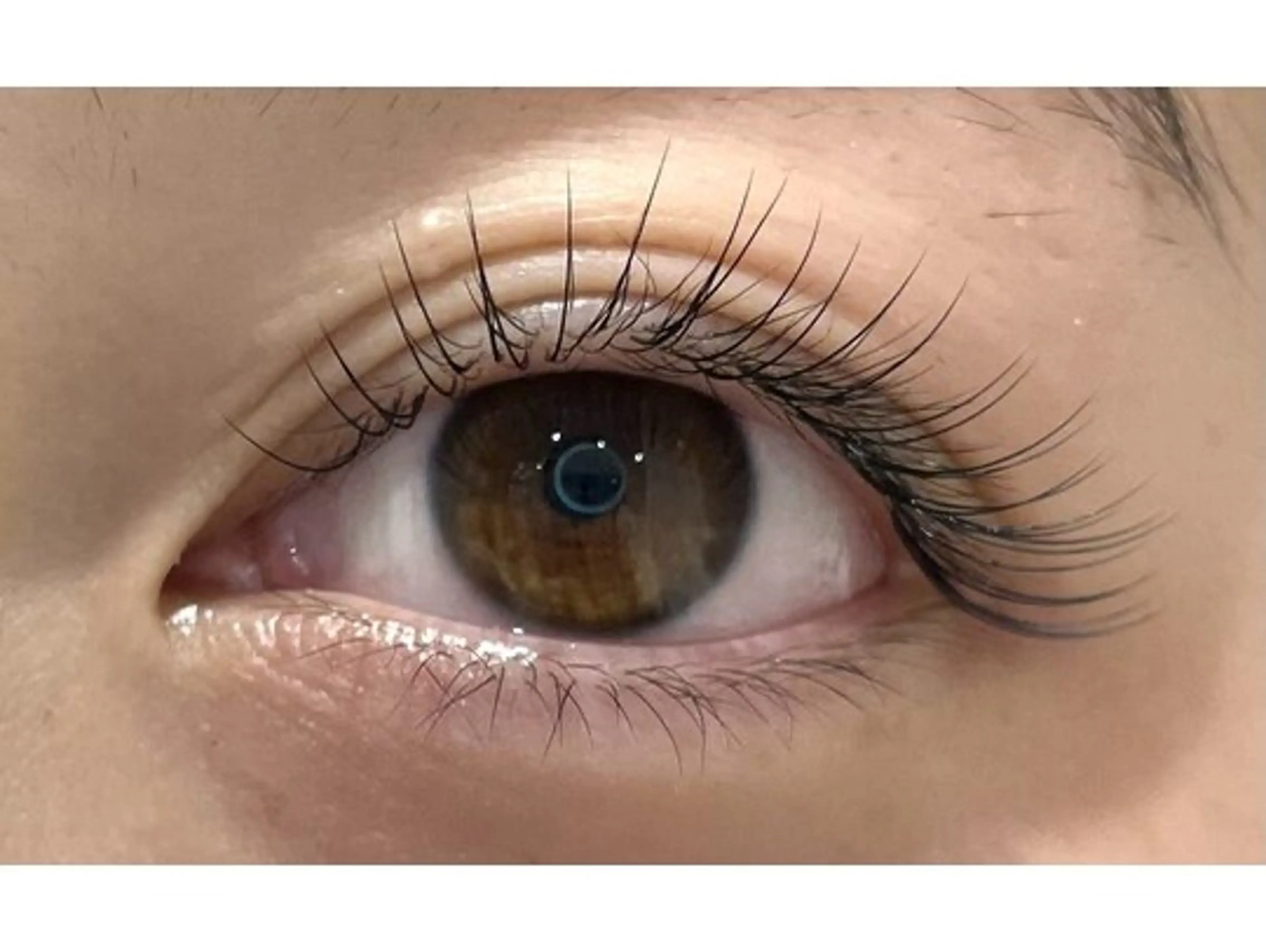 👑王道人気menu👑💓【シングルラッシュ(セーブル)】120本(オフ込み)！の写真