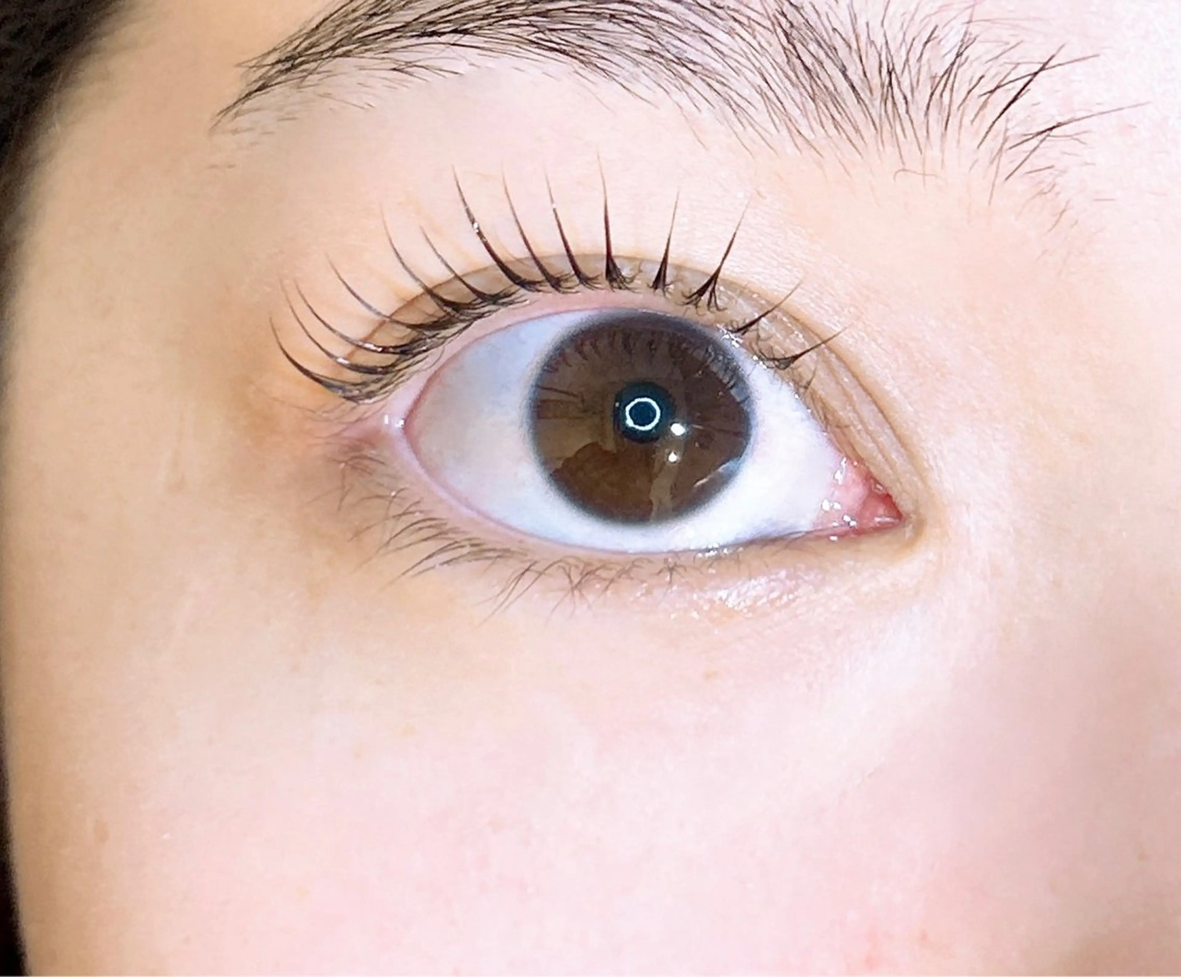 マツエク・マツパ Luxxe静岡店 石川のマツエク・マツパデザイン