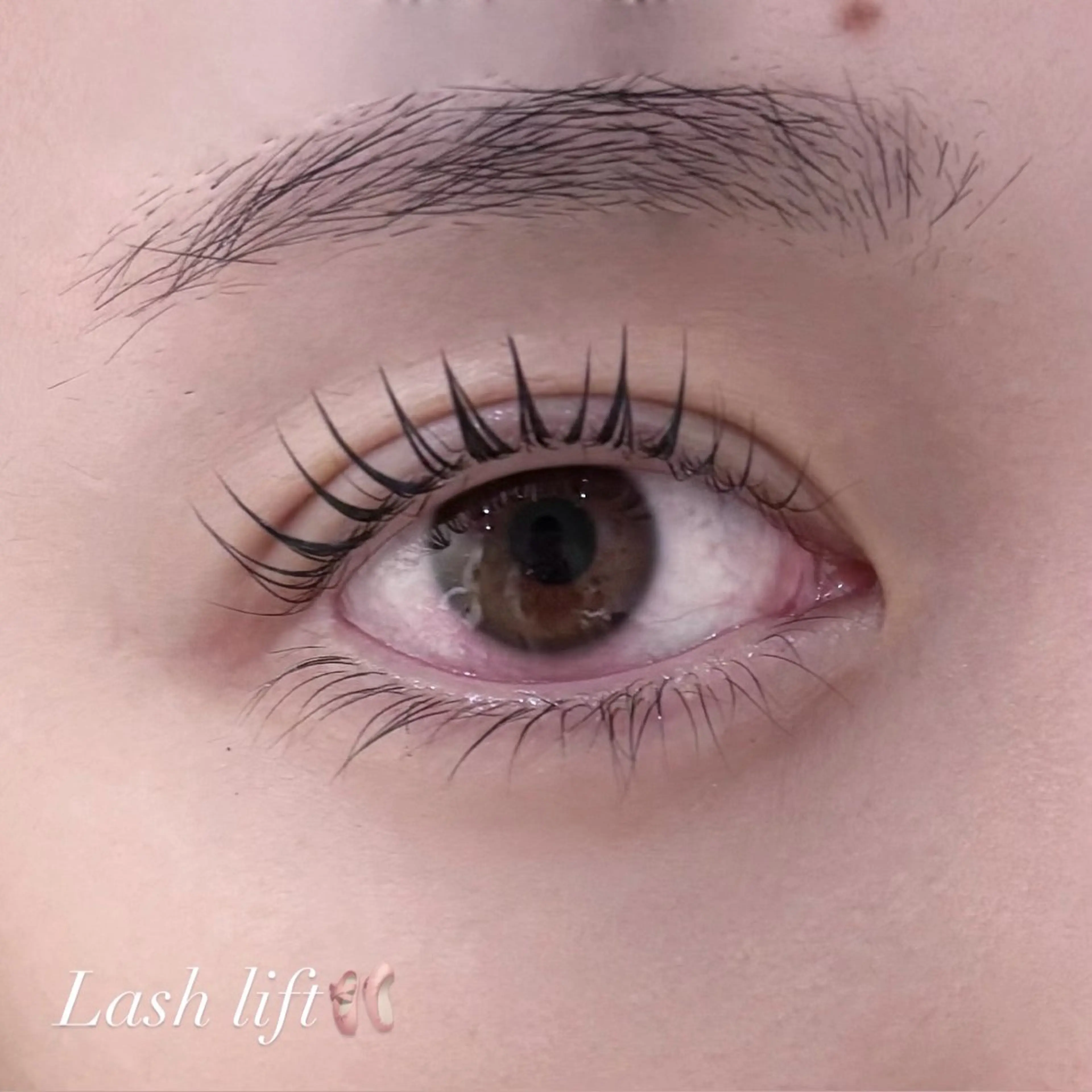 マツエク・マツパ マツパ ふじわら ありさのマツエク・マツパデザイン