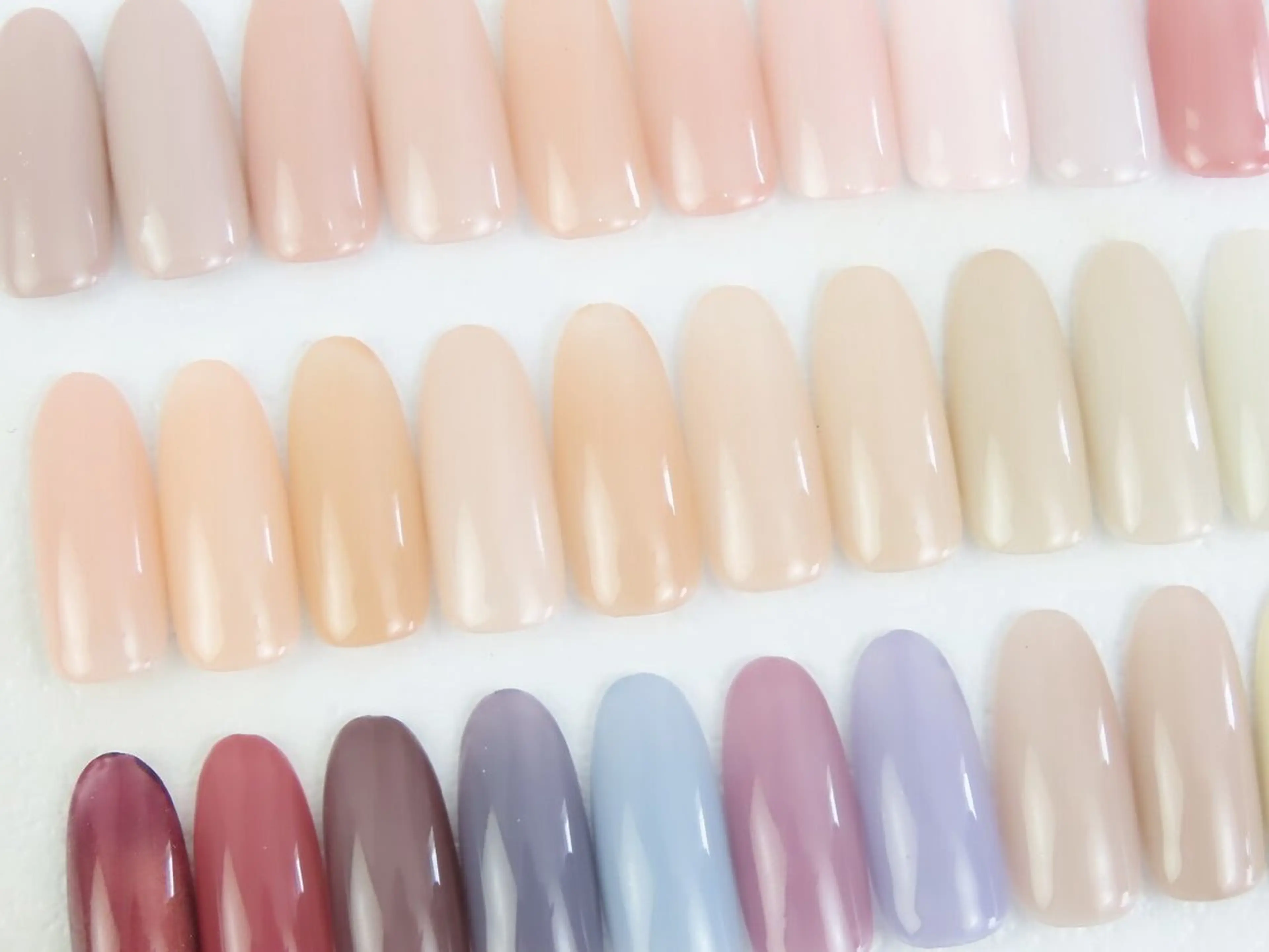 【オフ込】ワンカラーの写真