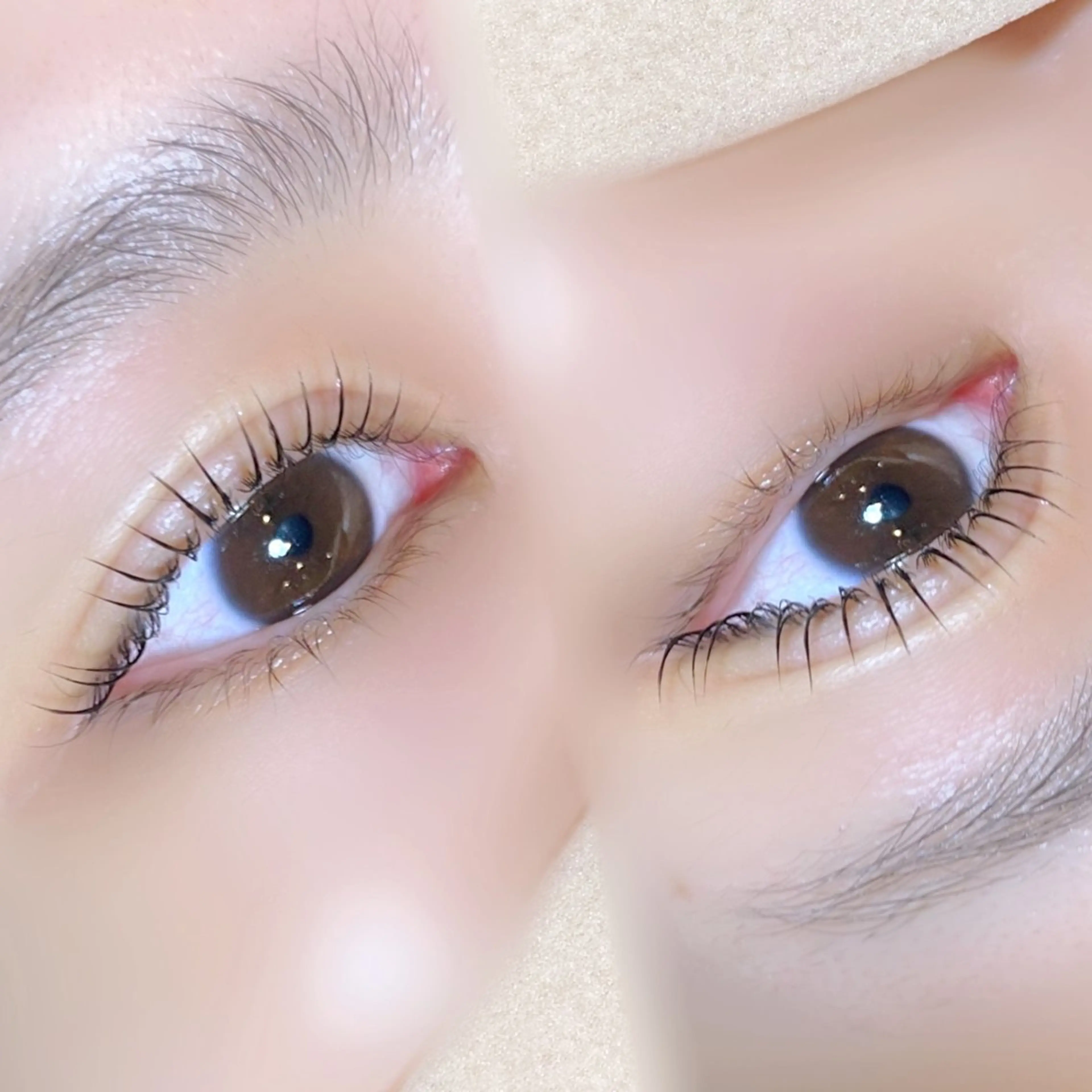 【12月限定🎄】束感仕上げパリジェンヌラッシュリフト✨️高保湿トリートメント・コーティング付き🫧の写真