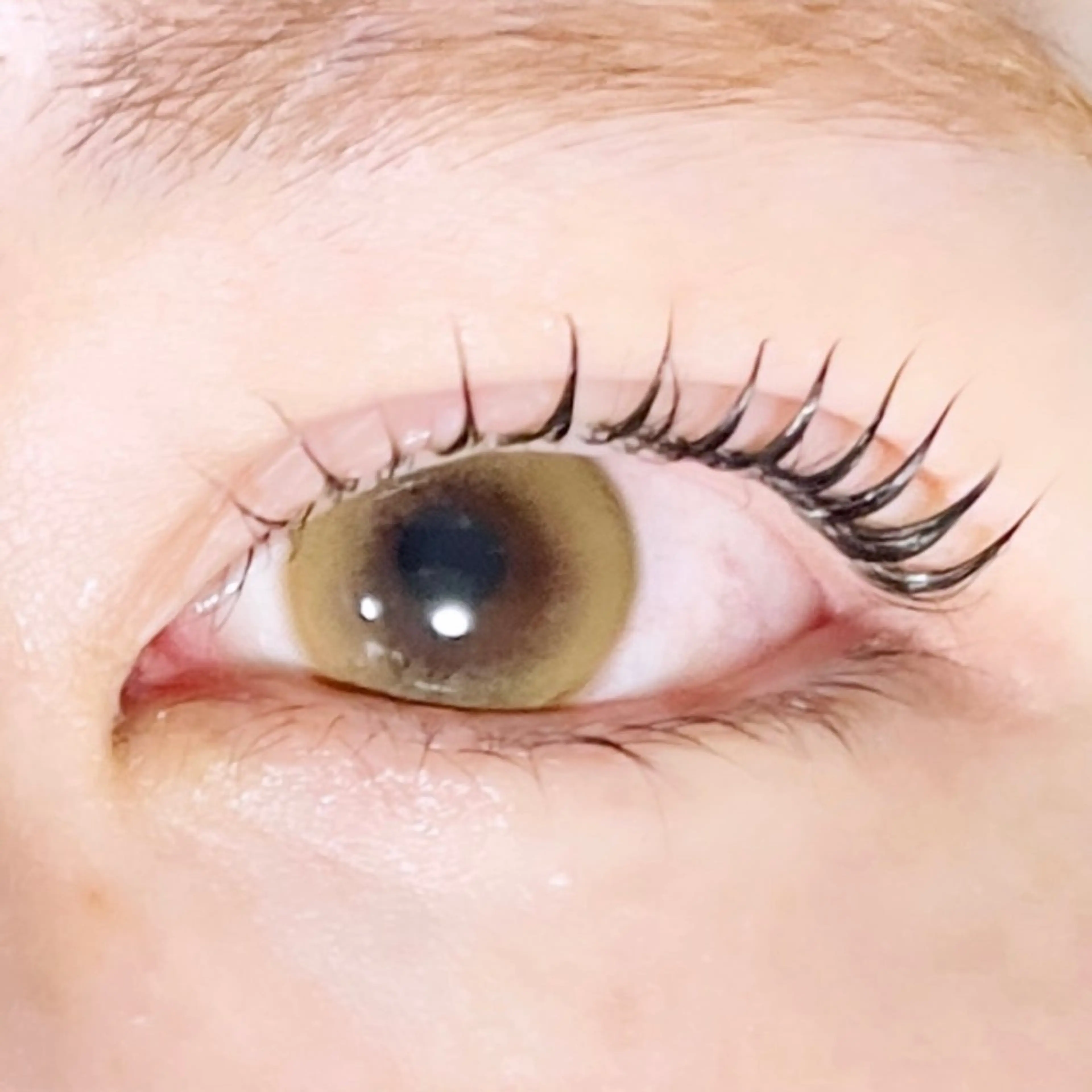 マツエク・マツパ TAKEO🖤 マリーテレジア藤が丘のマツエク・マツパデザイン