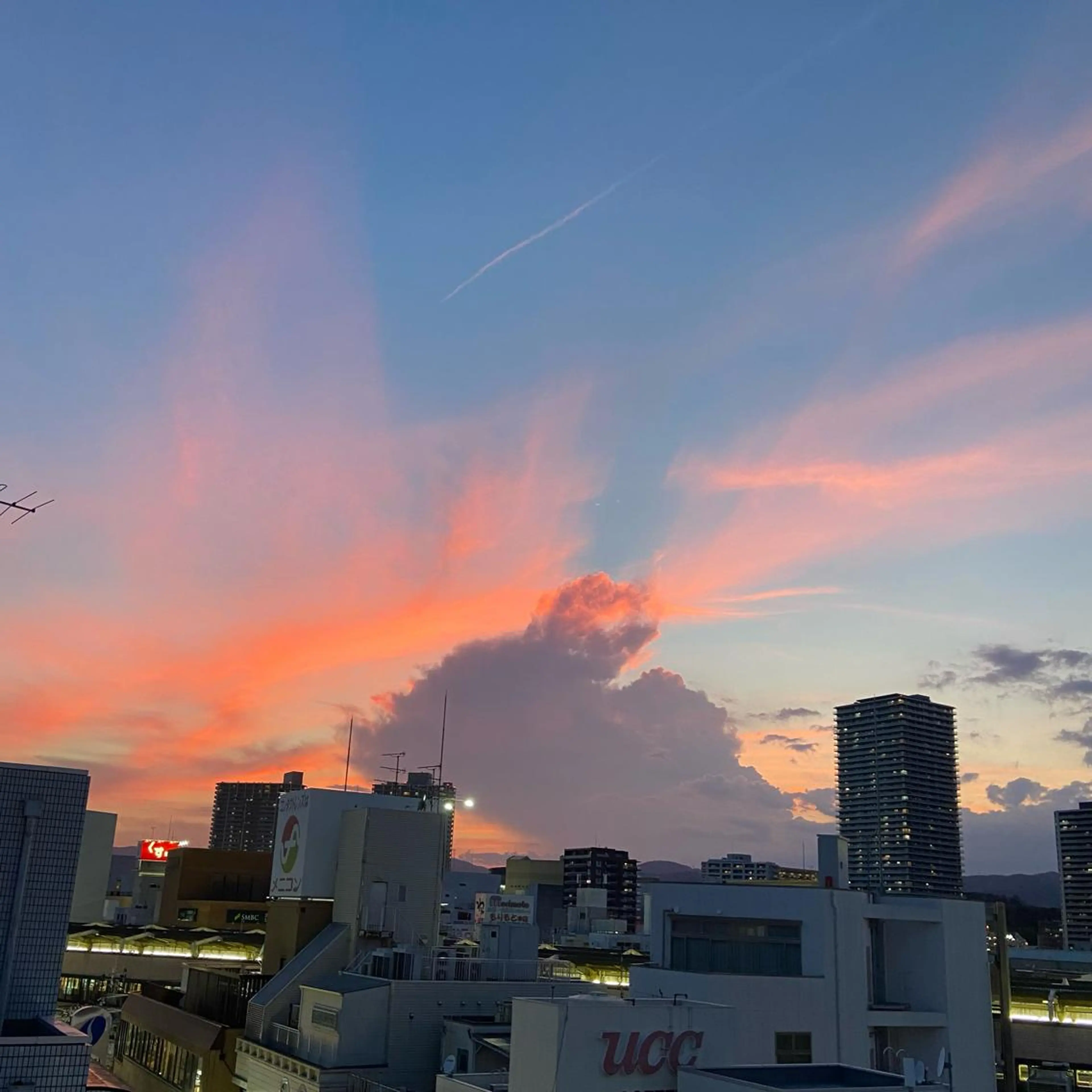 TIDEHAIR SHIHOのヘアスタイル
