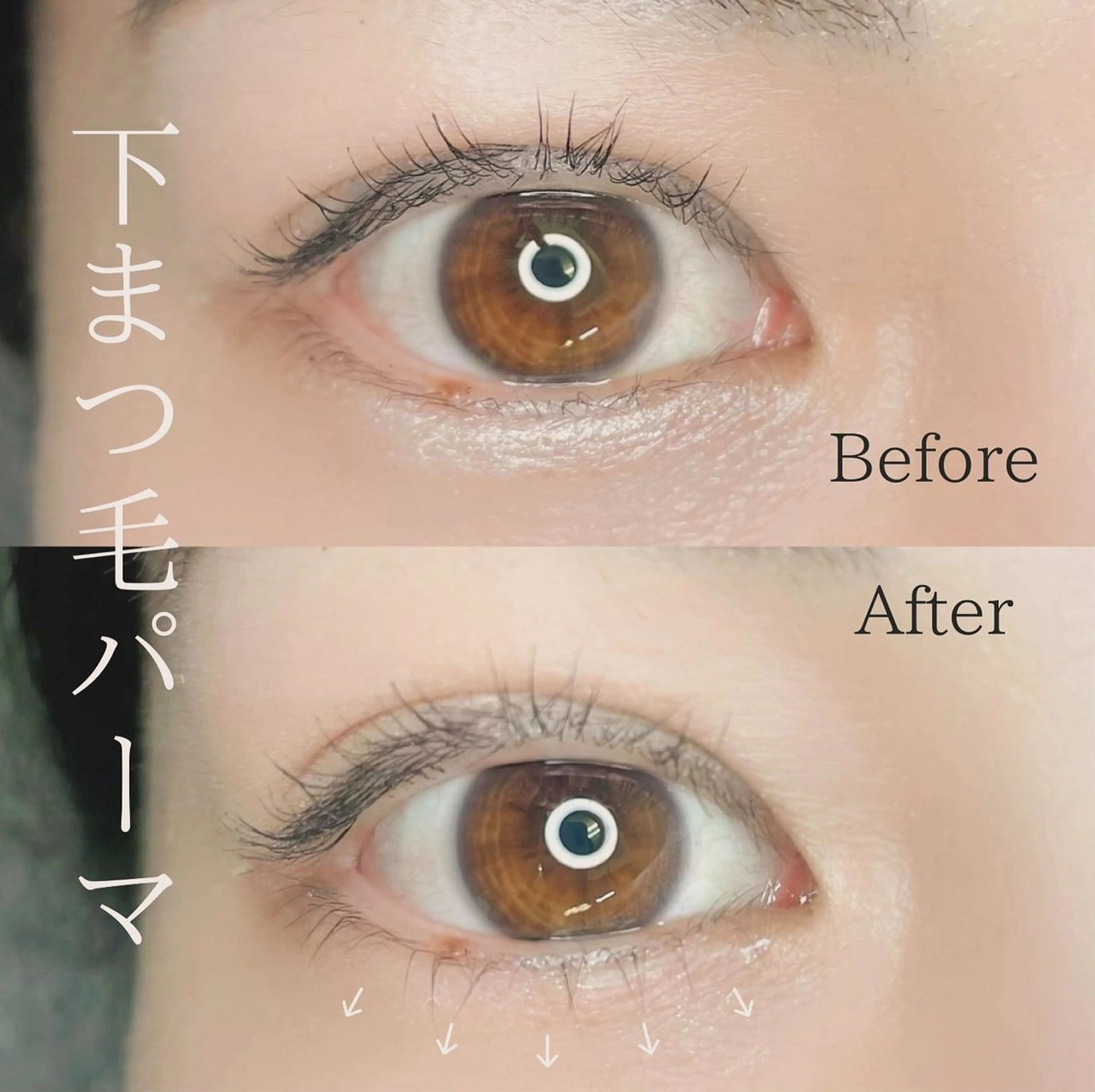 setメニュー🩶上まつ毛フラットラッシュ100本+下まつ毛パーマの写真