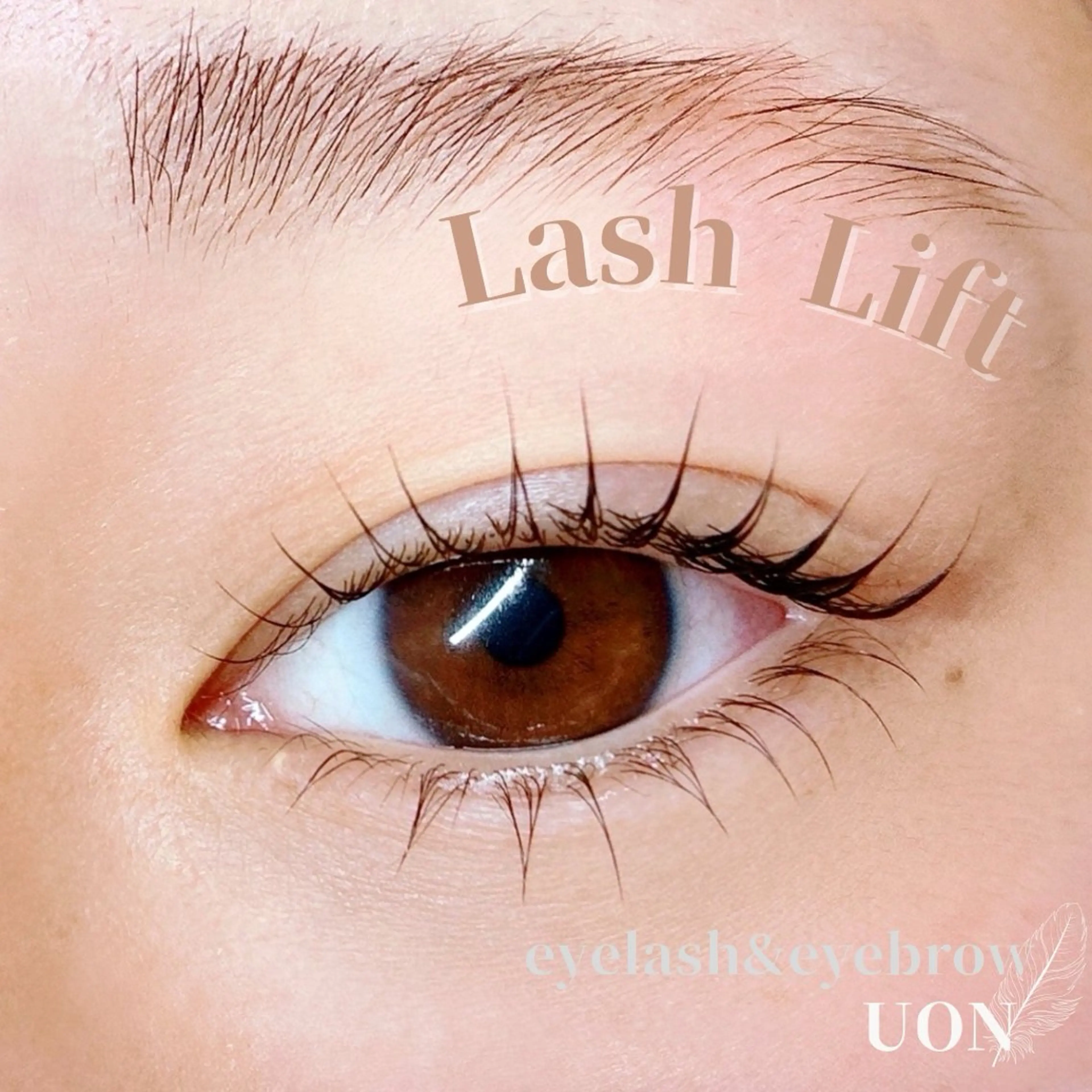 マツエク・マツパ UON【ウオン】所属・まつげとまゆげ UON《うおん》のマツエク・マツパデザイン