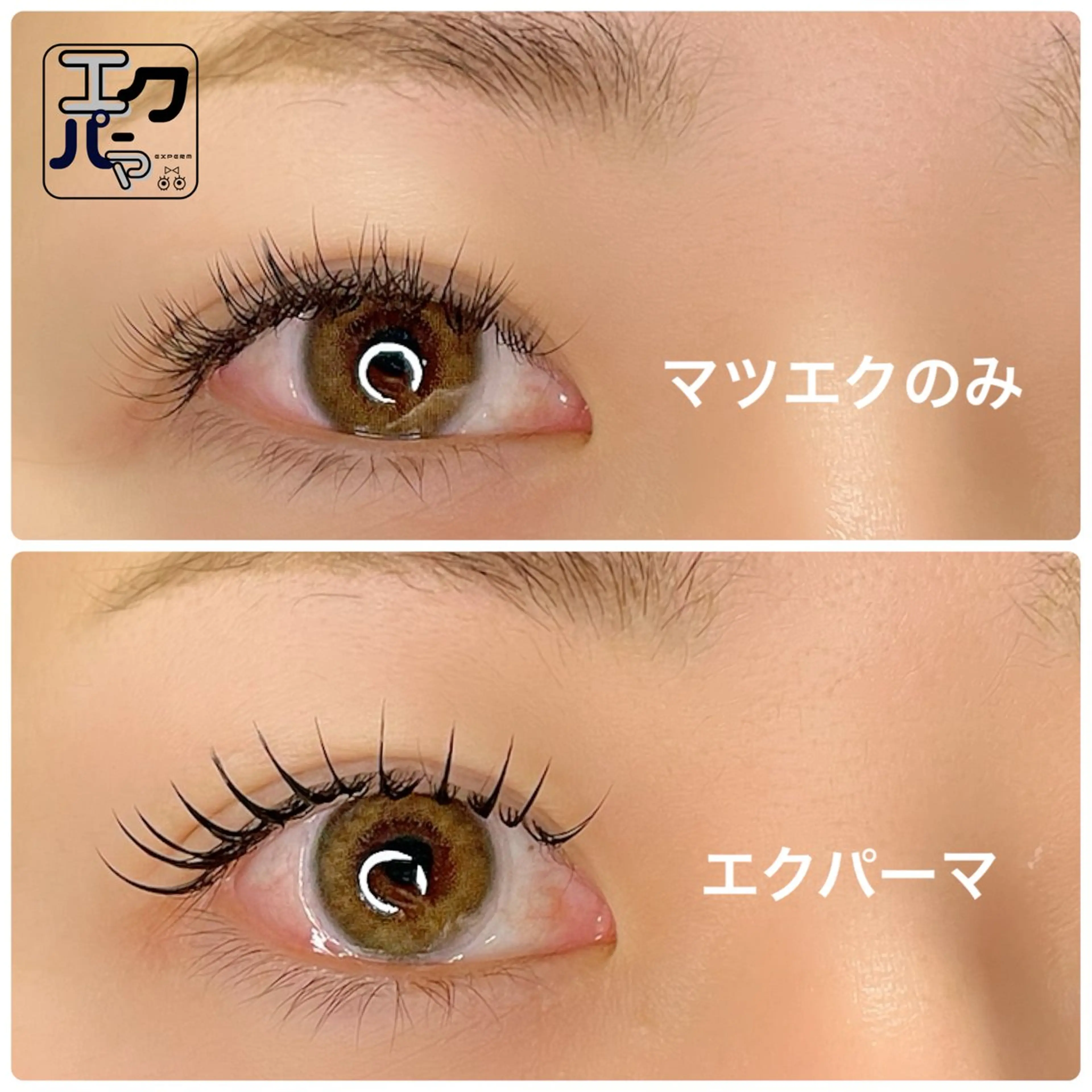 エクパーマ エクステ×パーマ (LEDエクステ120本+まつ毛パーマ)の写真