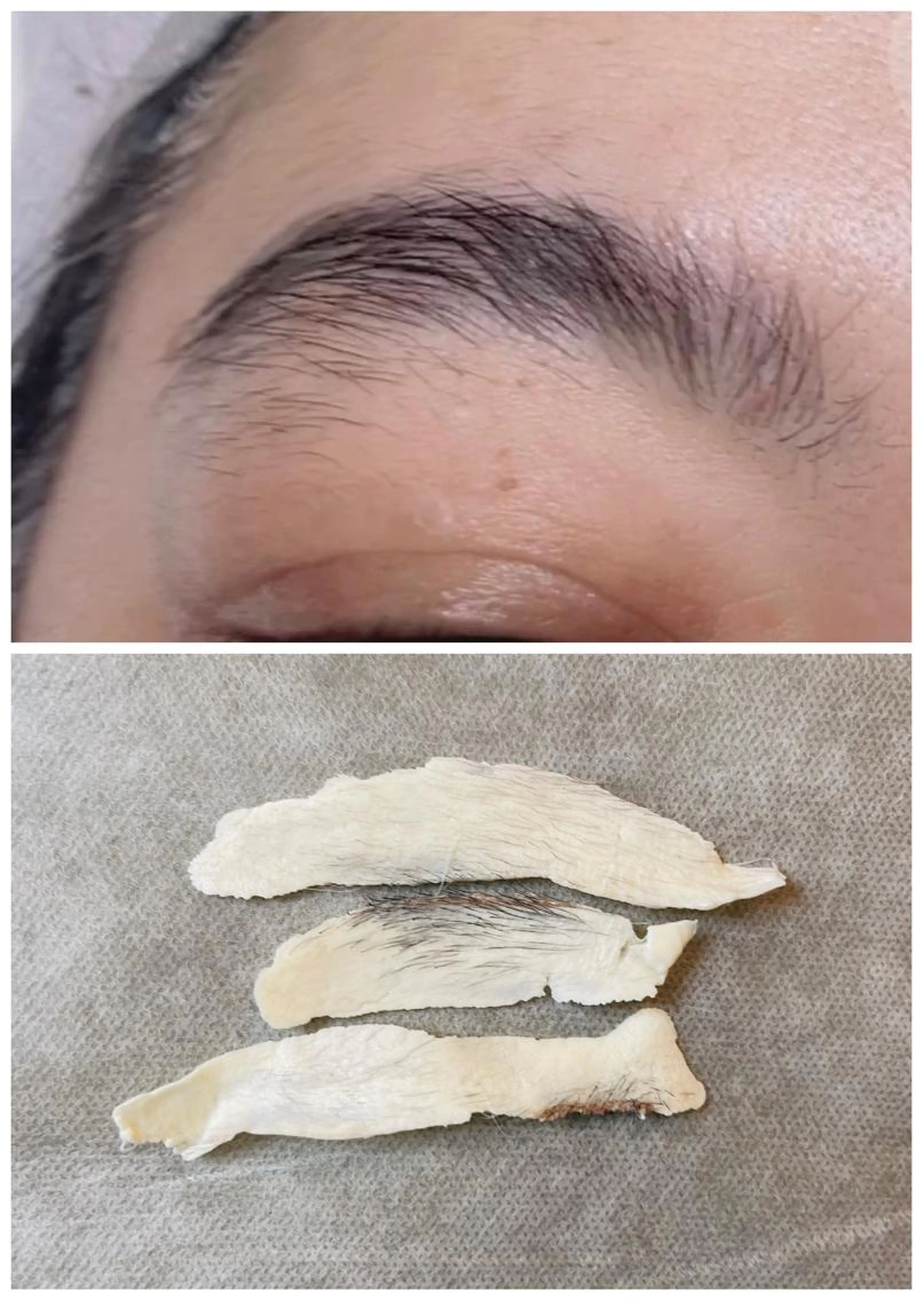 美眉WAXスタイリング★美眉WAX+カット+シーザー+メークなし🍃男女OK 💕の写真