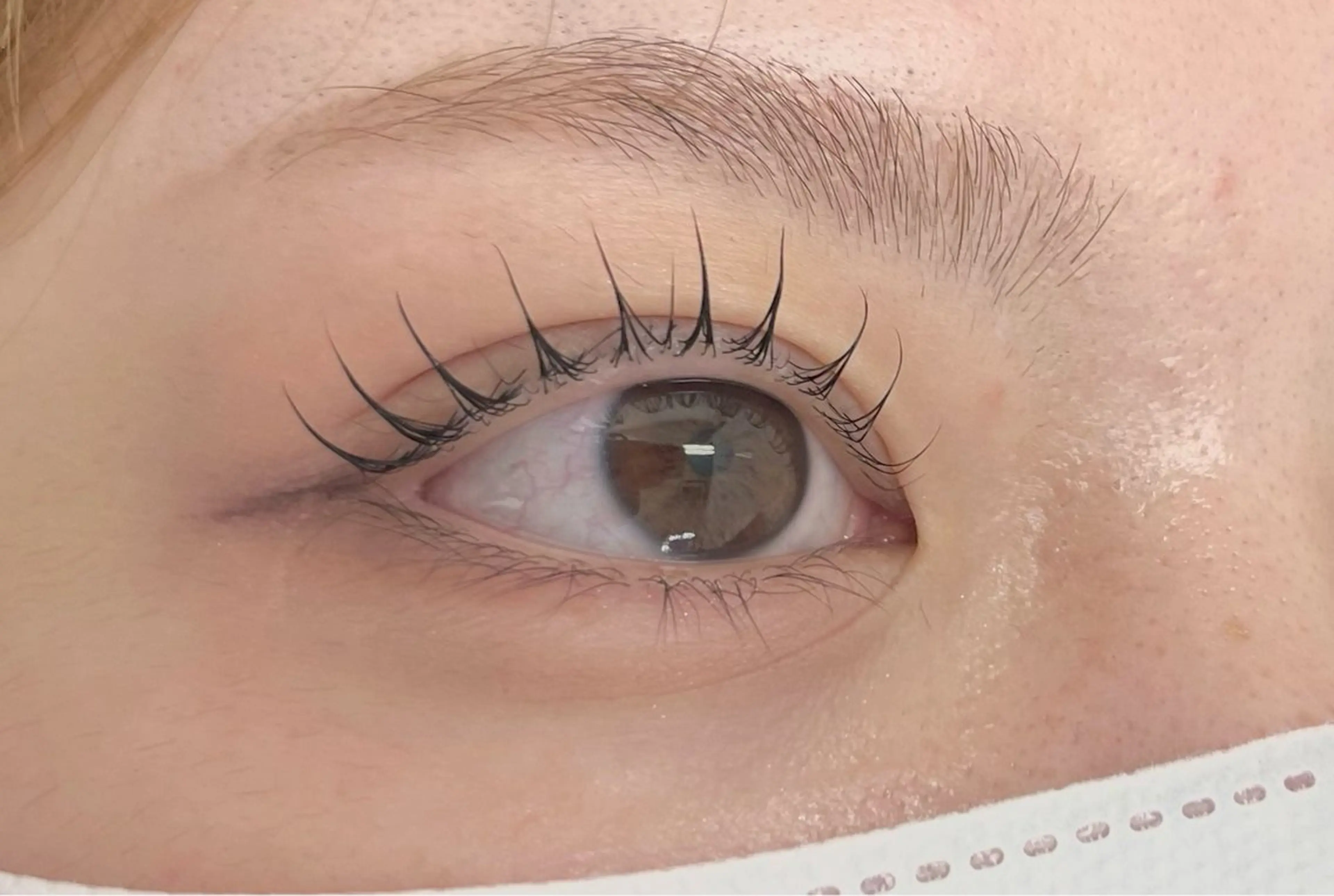 平日限定🦄束感まつ毛パーマ🦄の写真