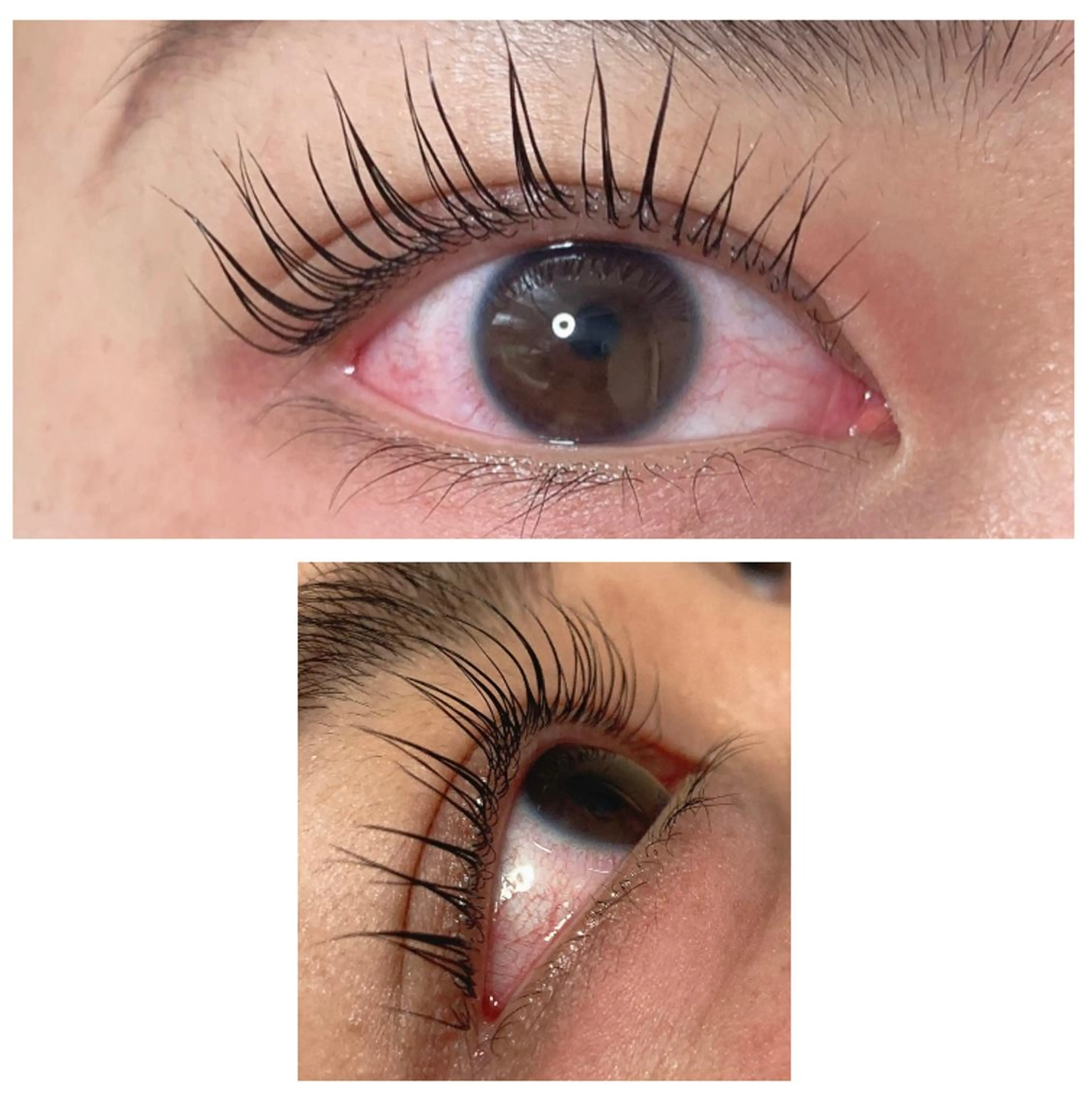 マツエク・マツパ パリジェンヌラッシュリフト ♡tiana juna˖ ࣪⊹のマツエク・マツパデザイン