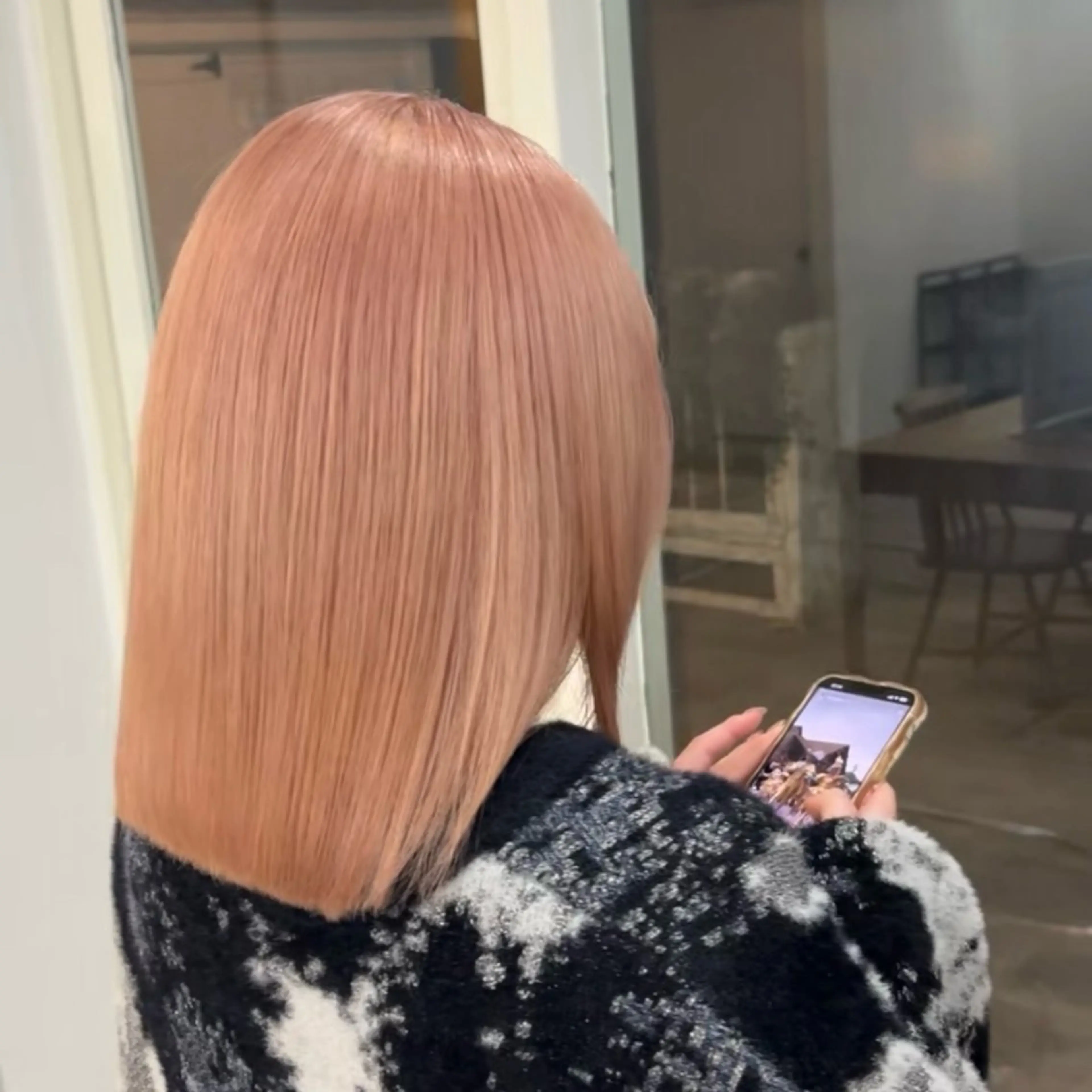 ワンカラーの写真