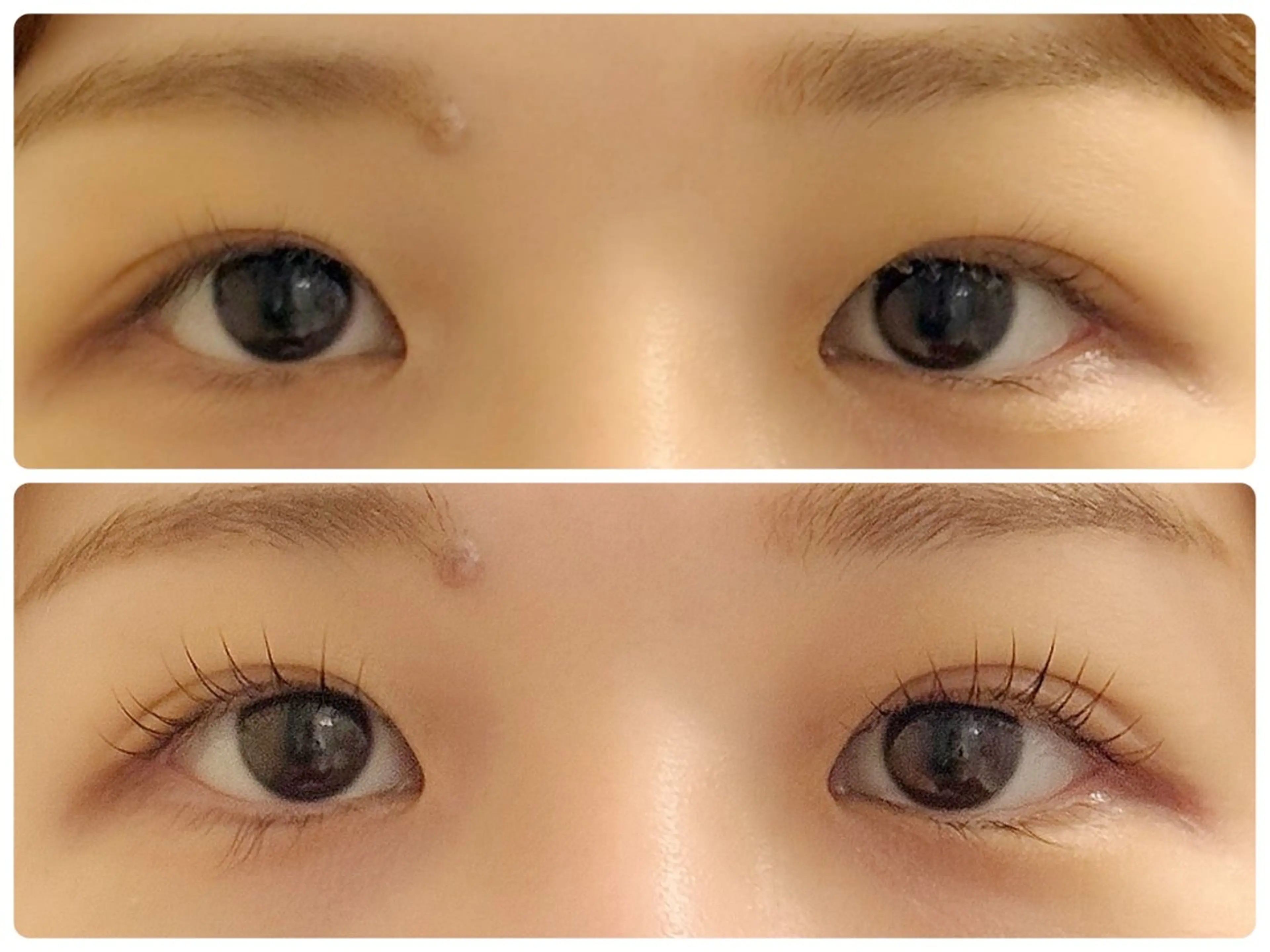 マツエク・マツパ 紬麦所属・藤井 しほの眉毛・アイブロウイメージ