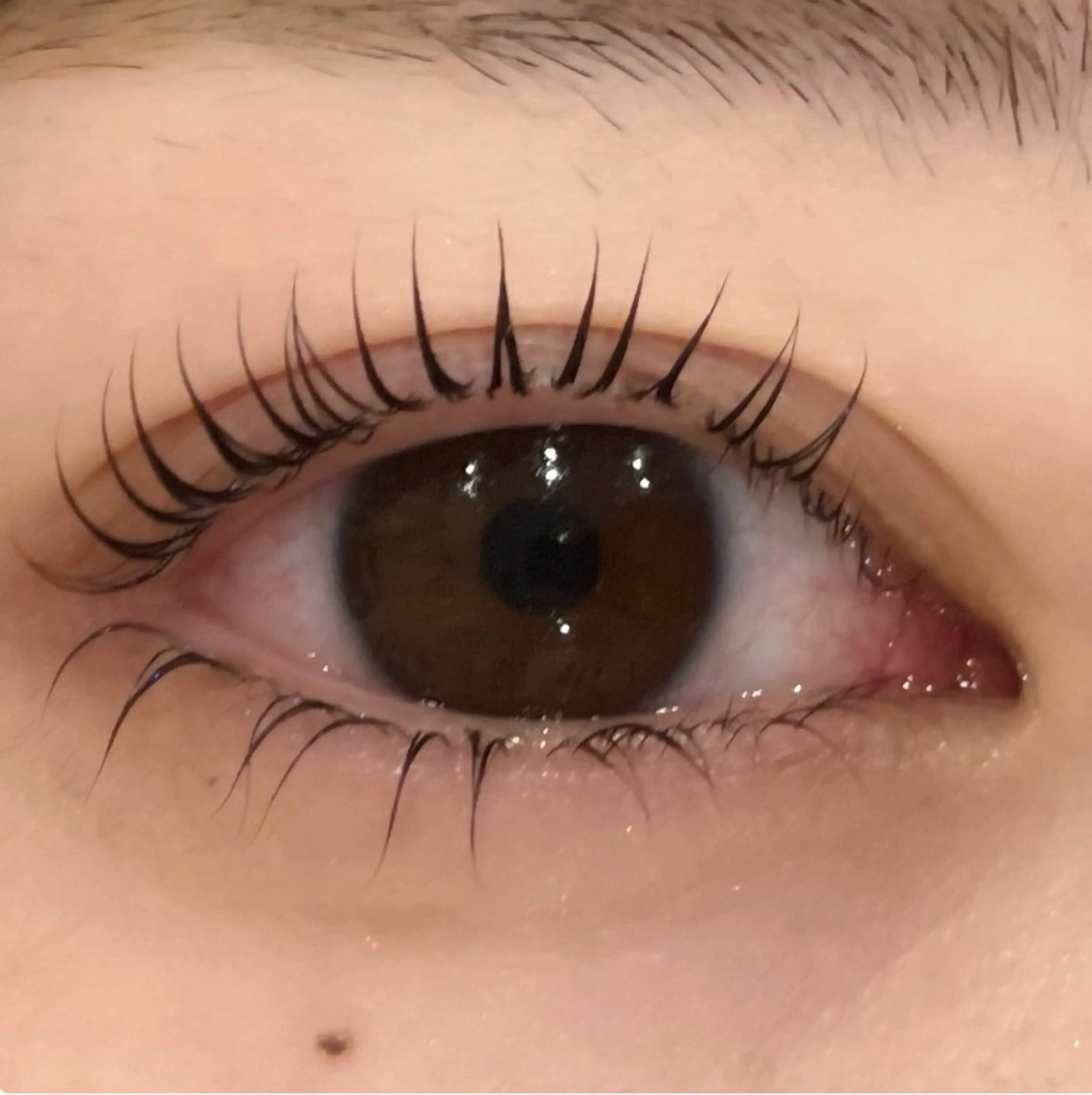 パーマ Daisy lush 大阪駅前第3ビルのマツエク・マツパデザイン