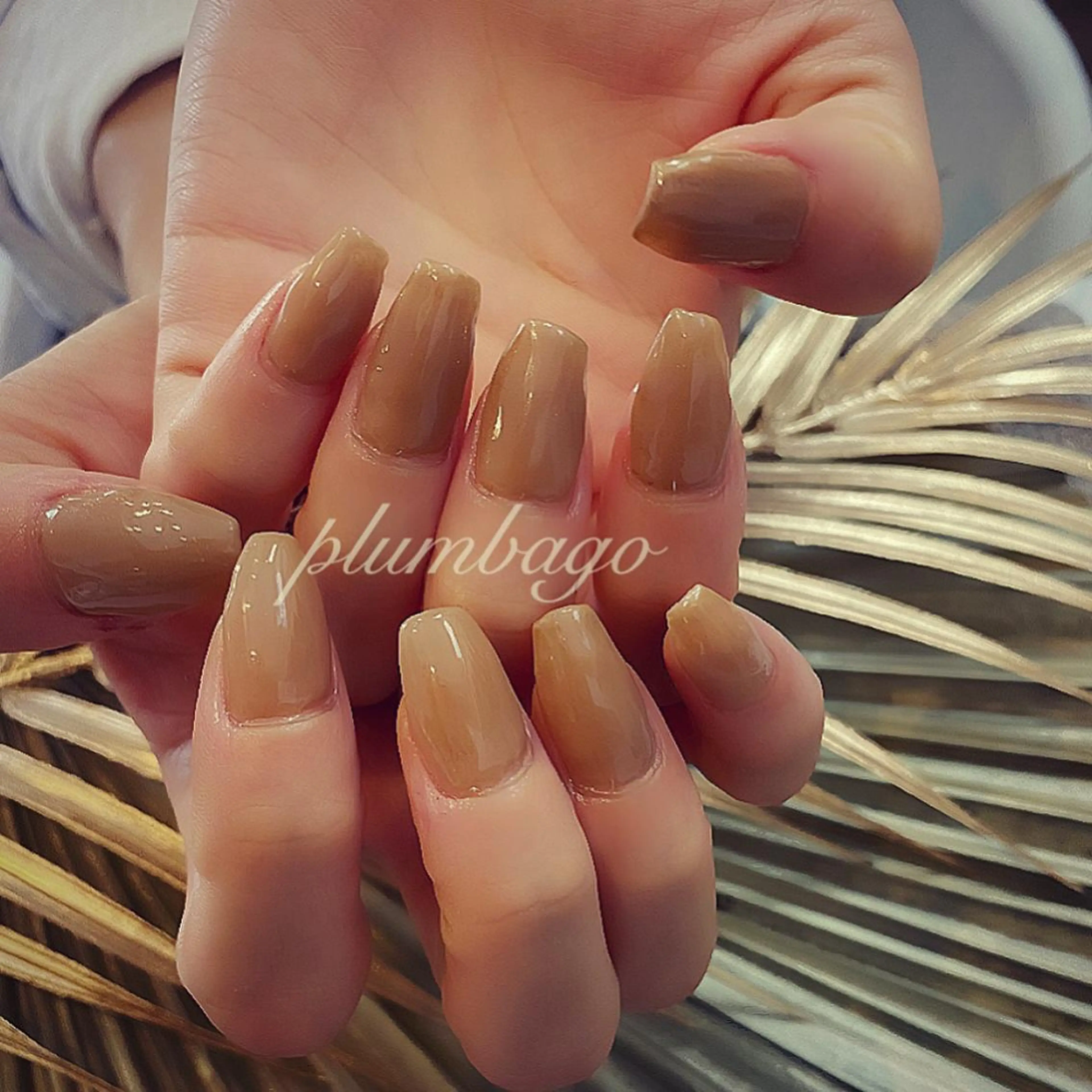 ネイル plunail mikiのネイルデザイン