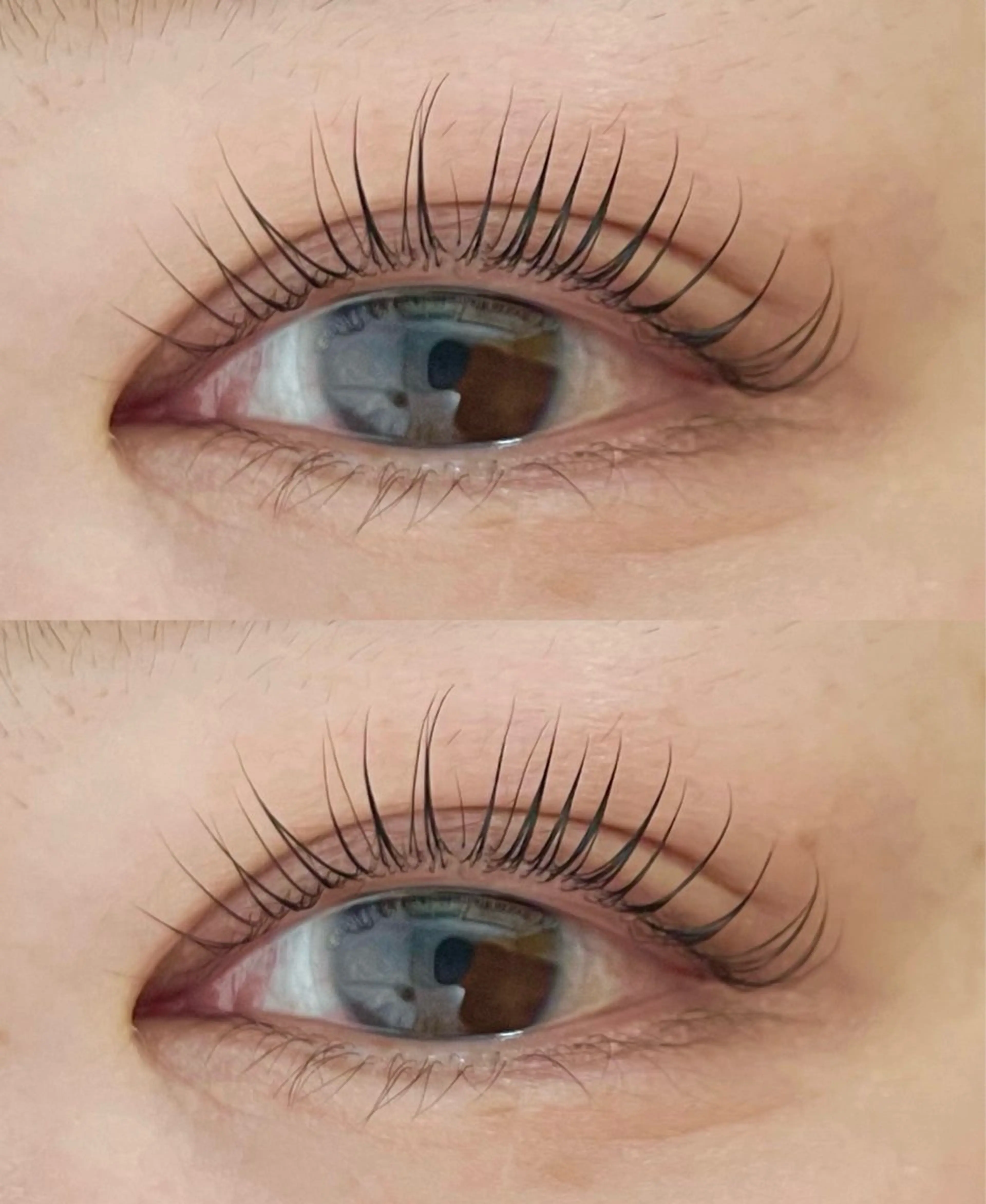 💚アイブロウwax+まつ毛パーマ💚(パリジェンヌ含めた8種類からお好きなデザインを🫧)の写真