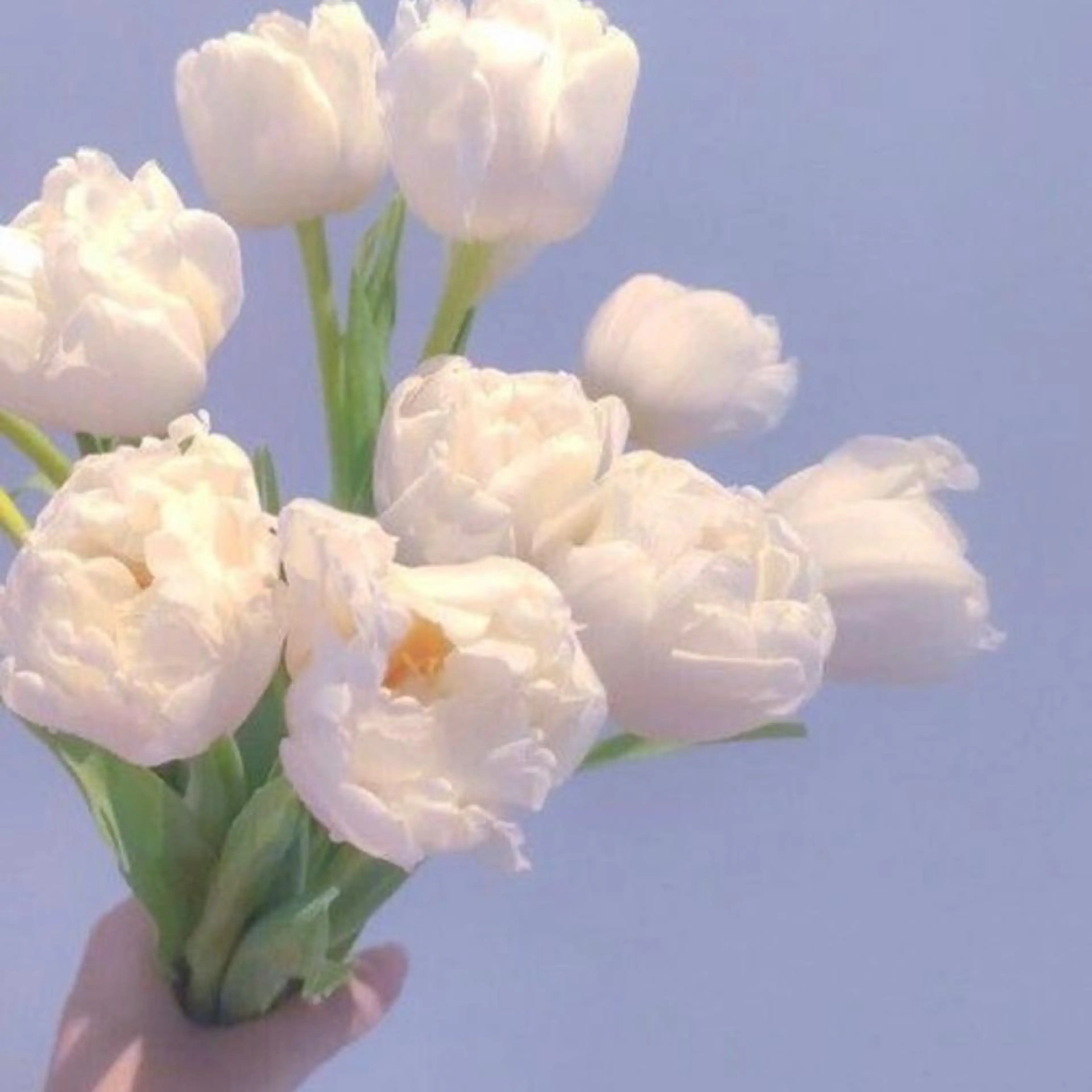 マツエク・マツパ Lu more 盛岡店のマツエク・マツパデザイン