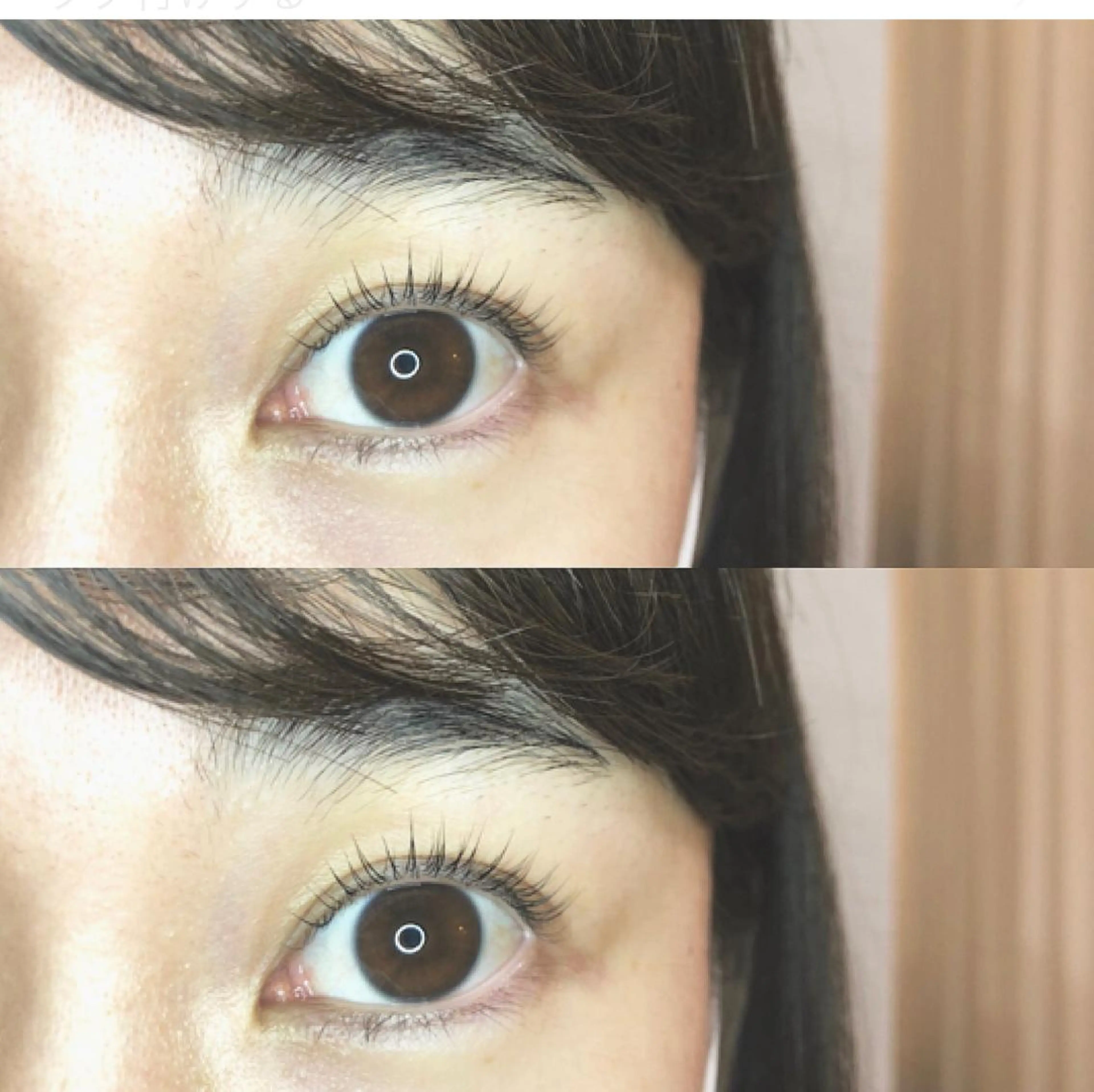 パーマ まつげパーマ専門店RITZ by CLAIR錦糸町所属・高橋 柚希のマツエク・マツパデザイン