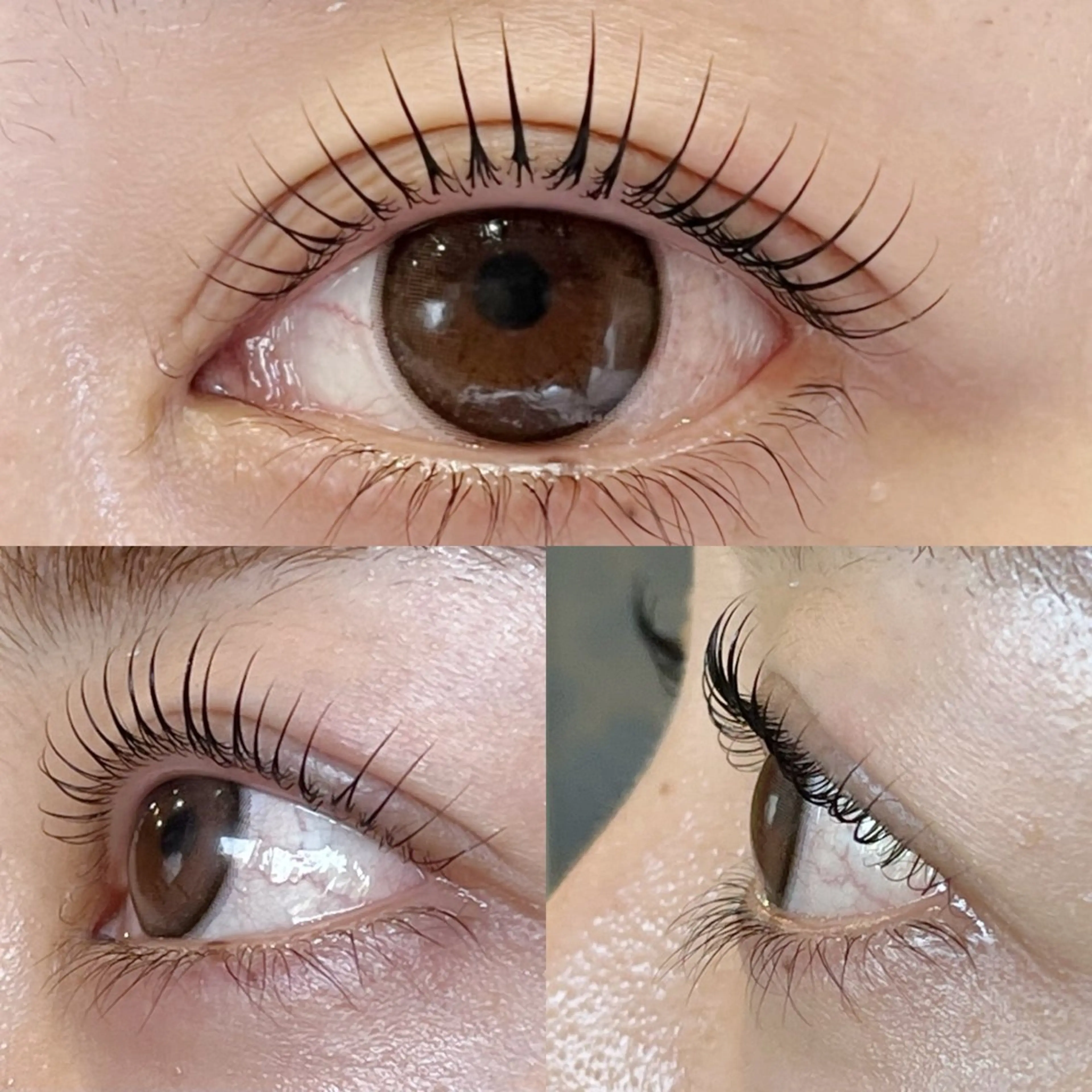 マツエク・マツパ パリジェンヌラッシュリフト マツパ Eyelash Luaのマツエク・マツパデザイン