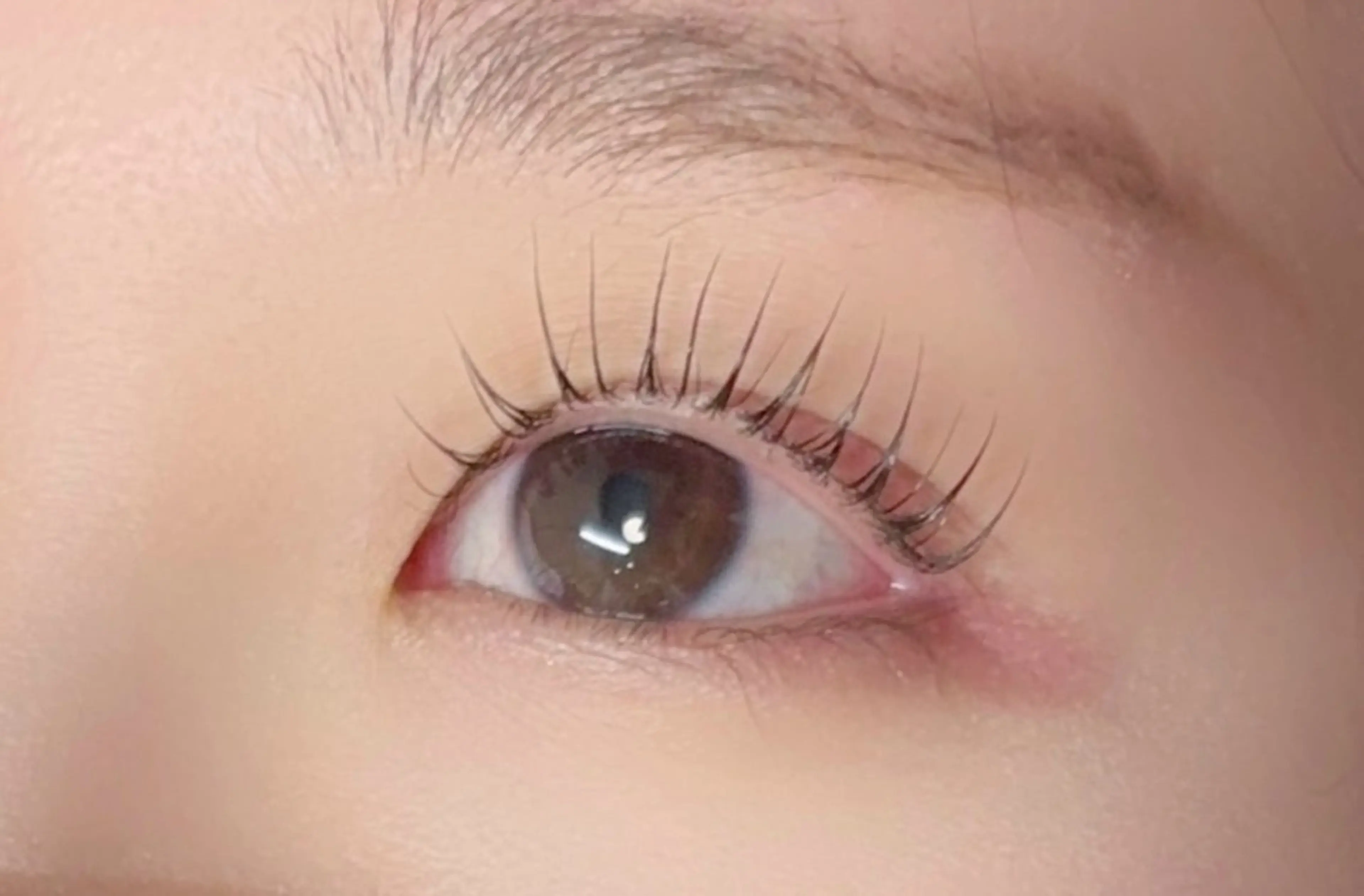 マツエク・マツパ Ayumi.dre 🐹H〈2階〉のマツエク・マツパデザイン