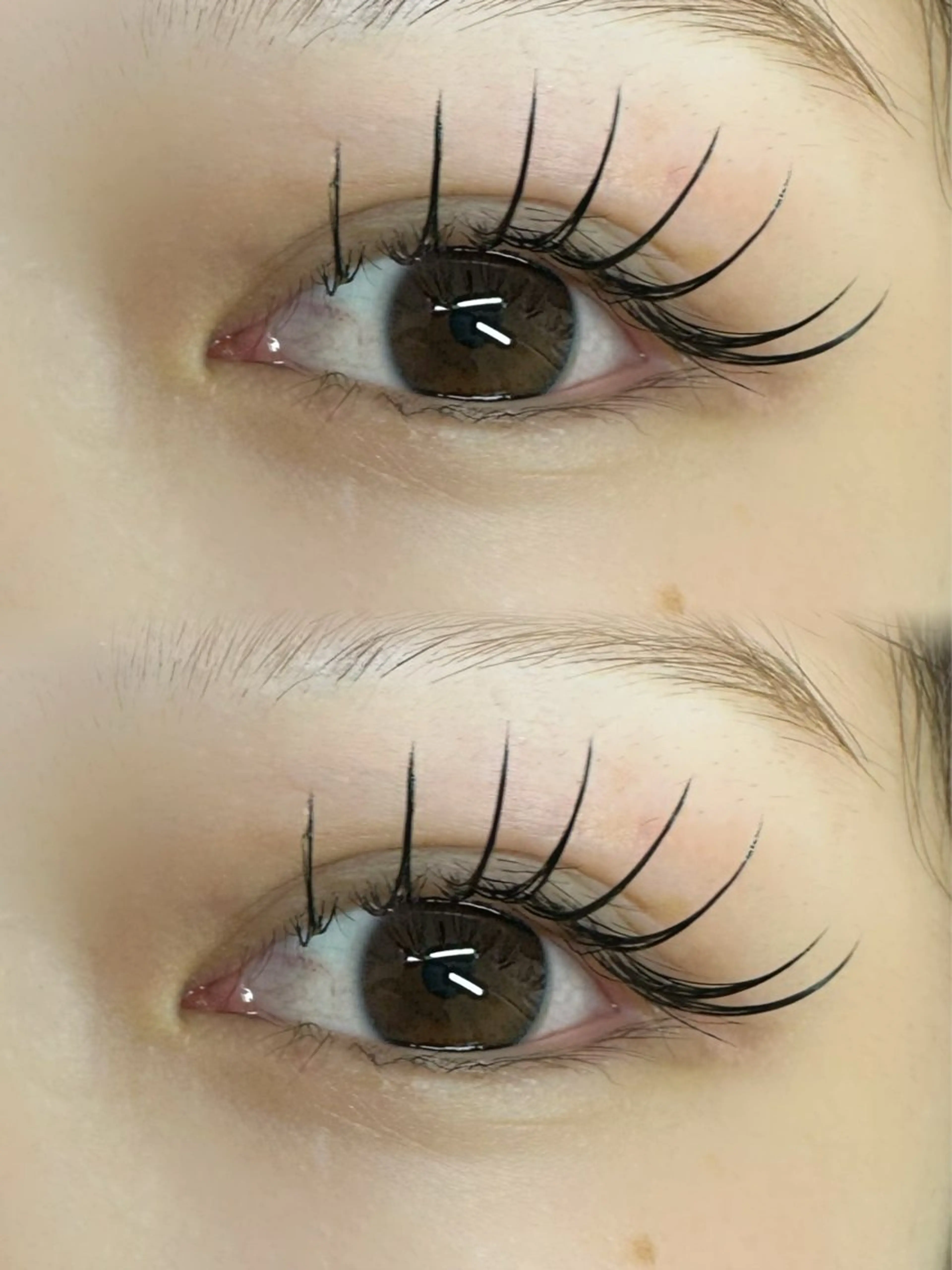 マツエク・マツパ フラットラッシュ マツエク FLEUR eyelashsalon所属・FLEUR 【フルール】のマツエク・マツパデザイン