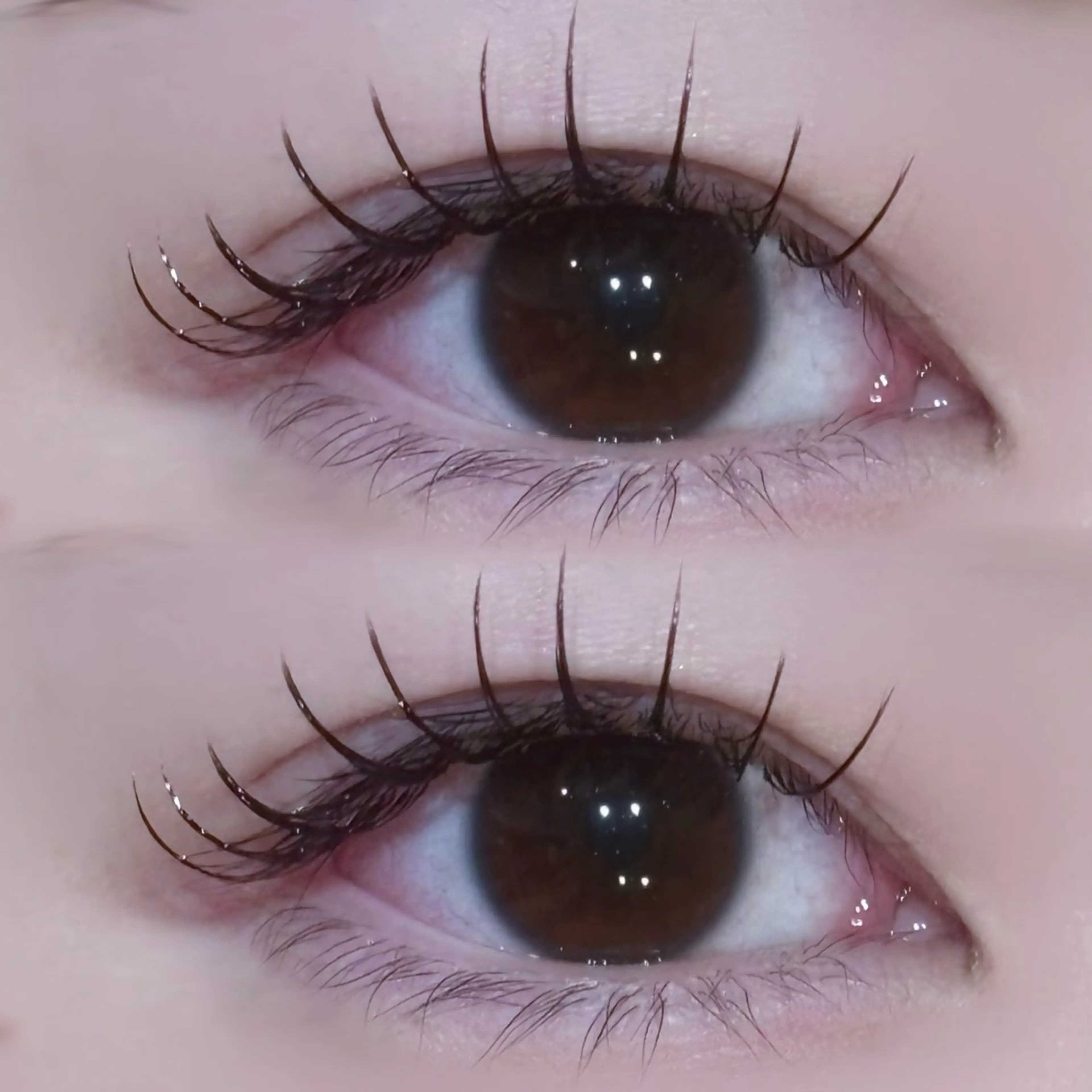 マツエク・マツパ EYELA🤍 蓜島のマツエク・マツパデザイン