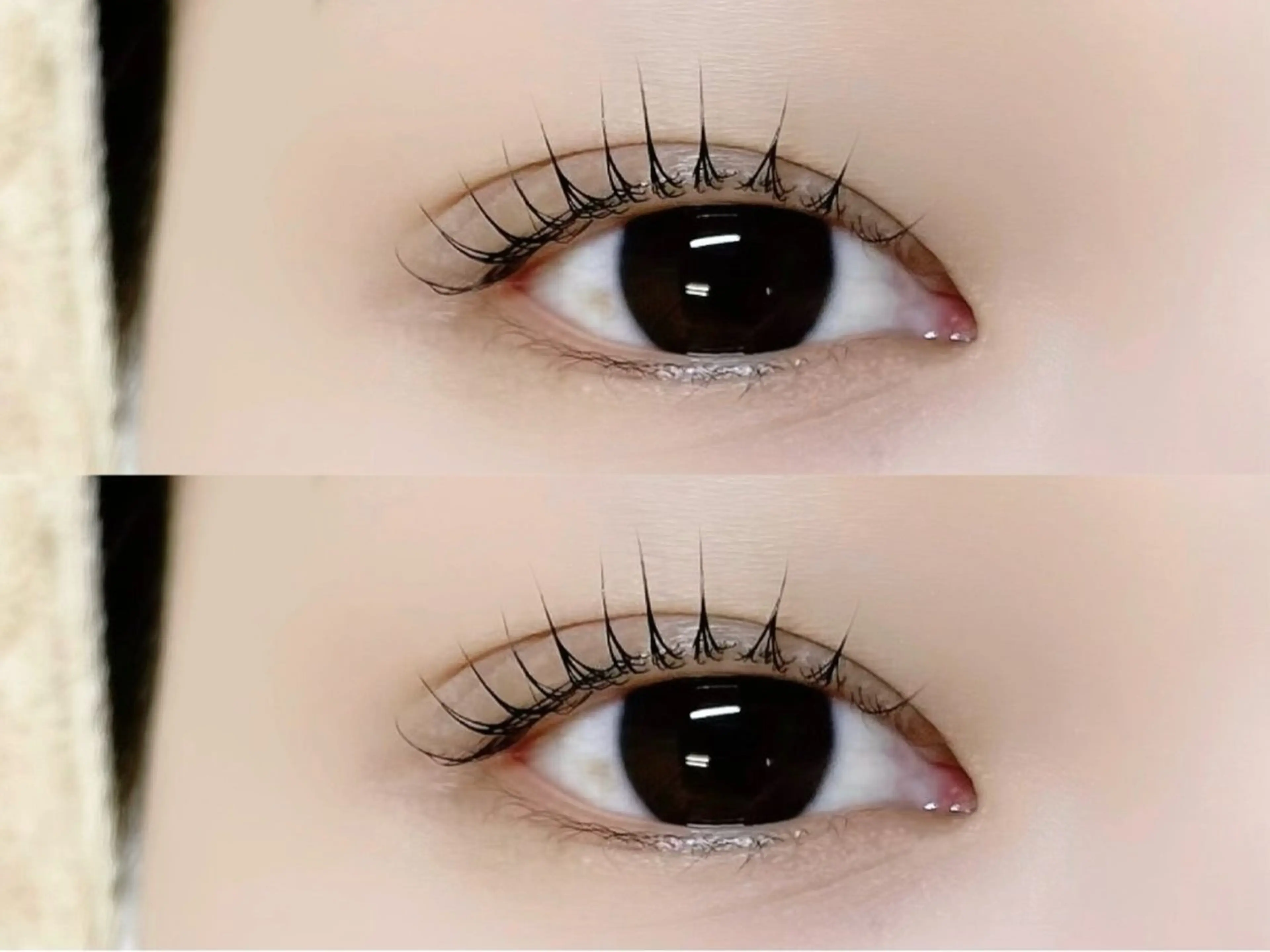 《韓国発🇰🇷ブラックティント》マスカラパーマ💜🖤（束感コーティング付🌷）　￥6,000▶︎￥5,000の写真