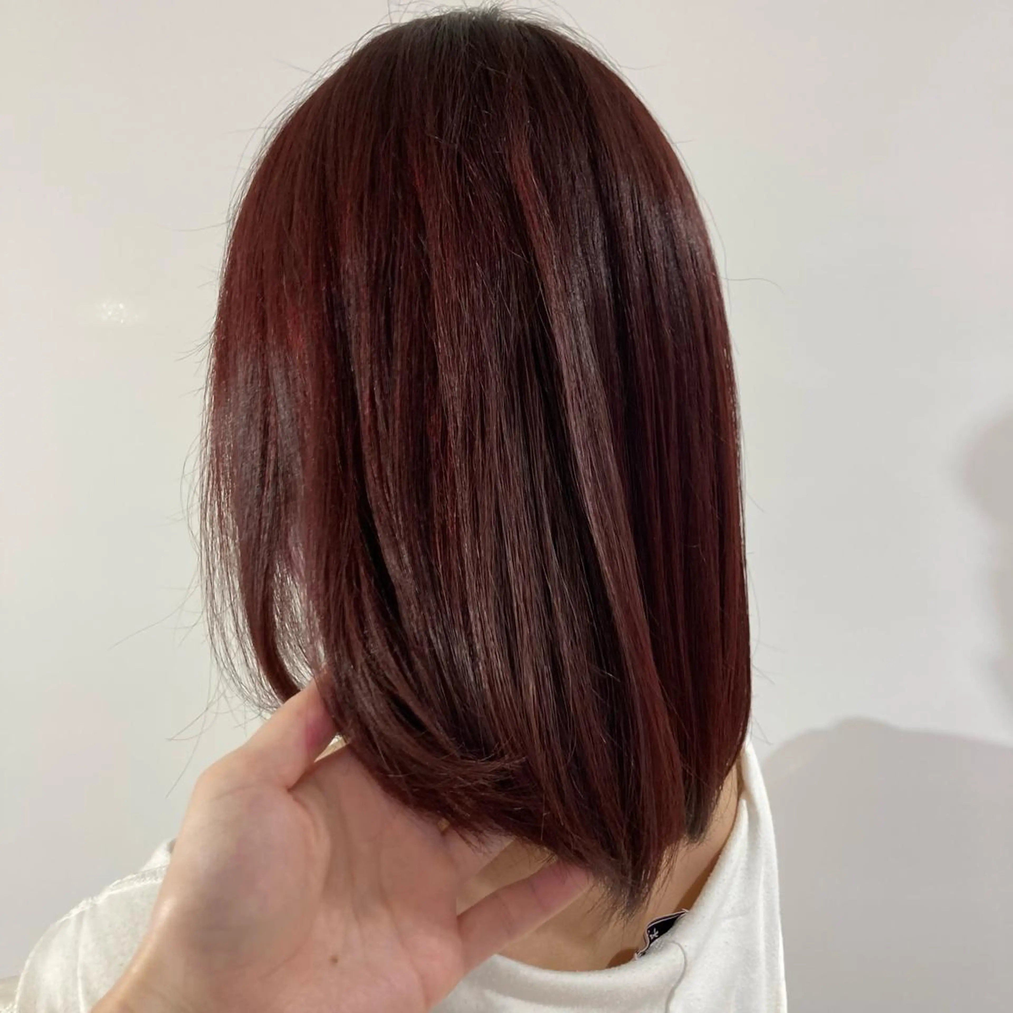 ミディアム レッドブラウン カット ヘアカラー 🍏脊古夏月🍏 /韓国ヘア＆アイ🍏の眉毛・アイブロウイメージ