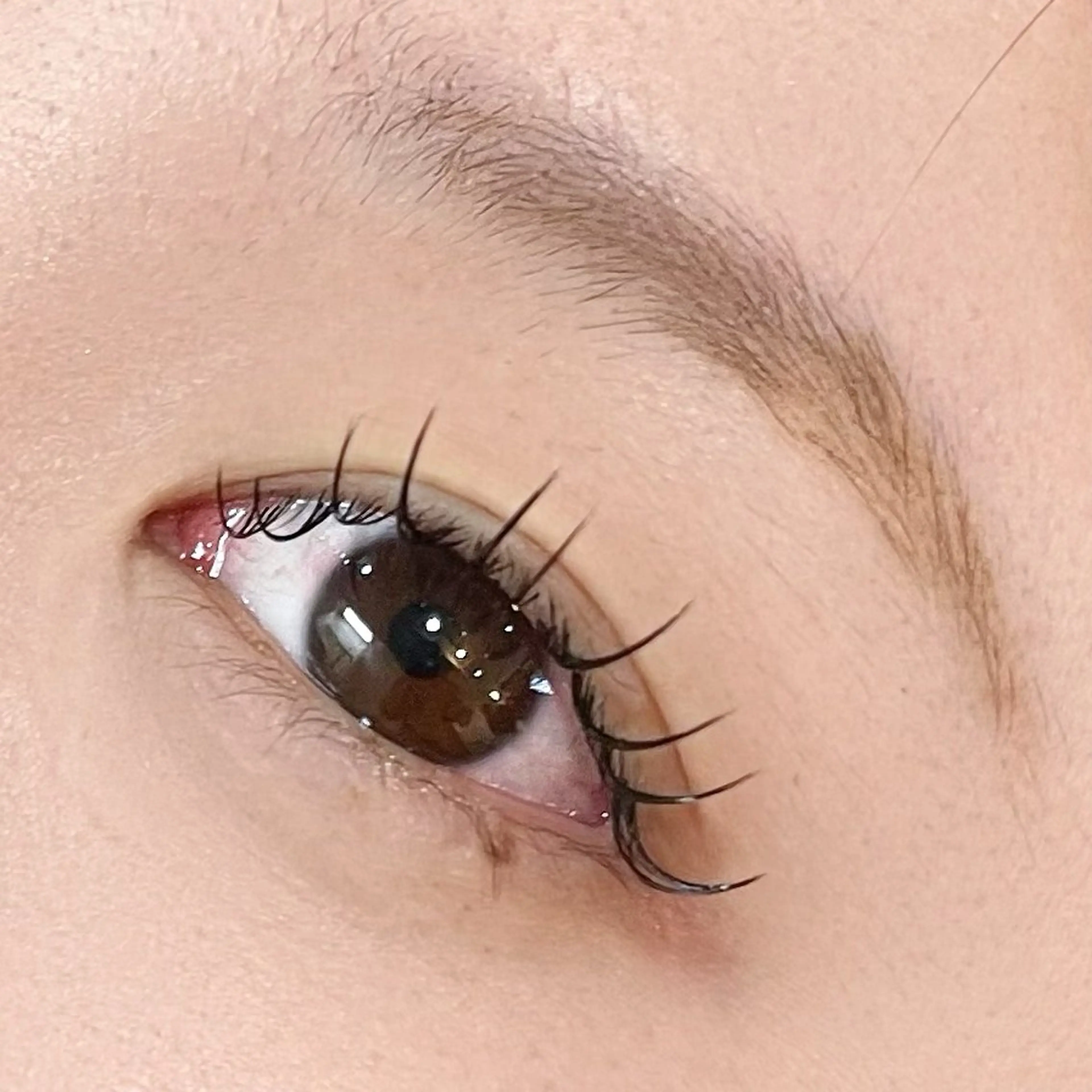 マツエク・マツパ EYELA(アイラ)柏店所属・👑EYELA 柏／ 川村👑のマツエク・マツパデザイン