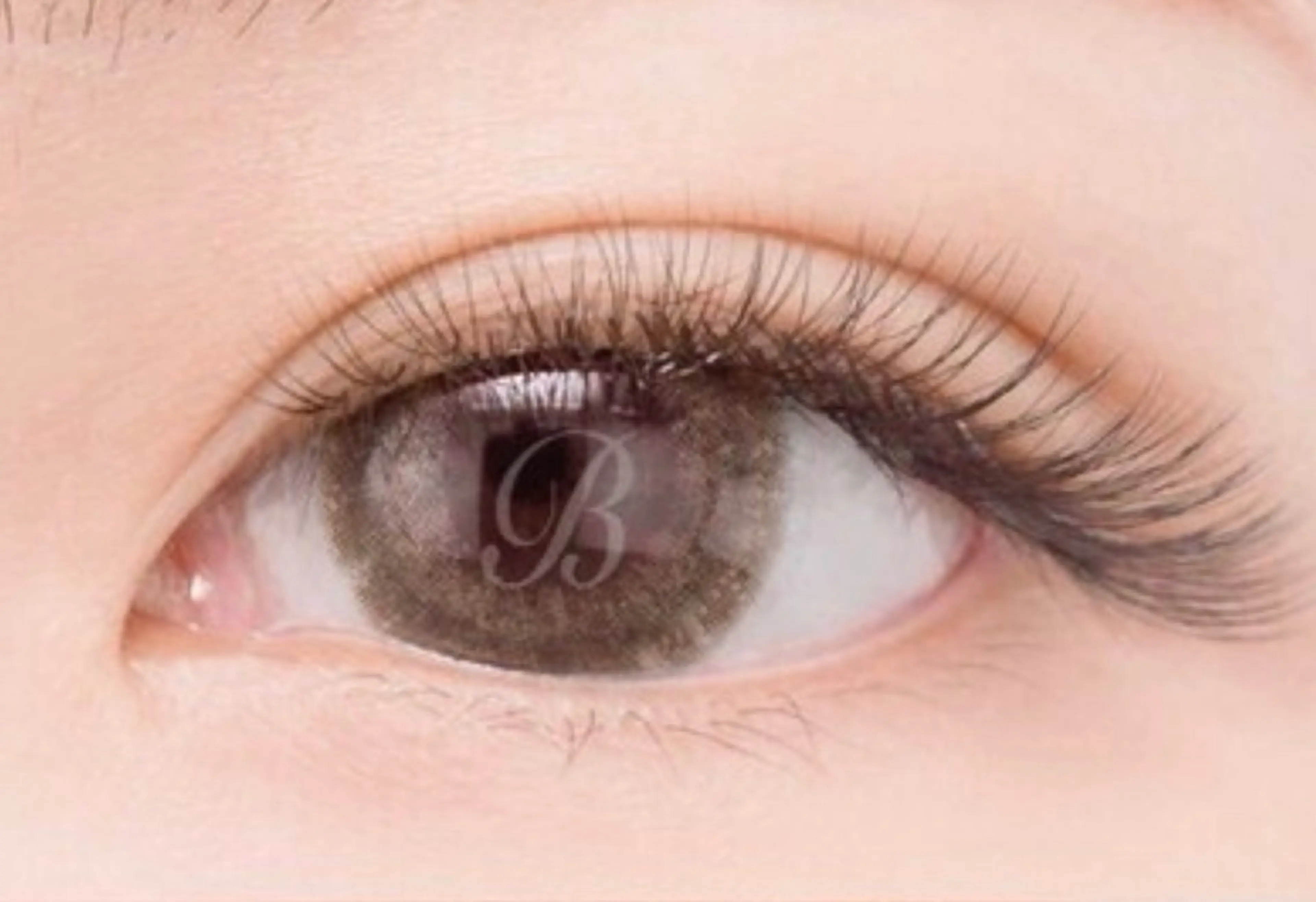 ⭐️ボリュームラッシュ (100束)⭐️ 12/21  13:00の写真