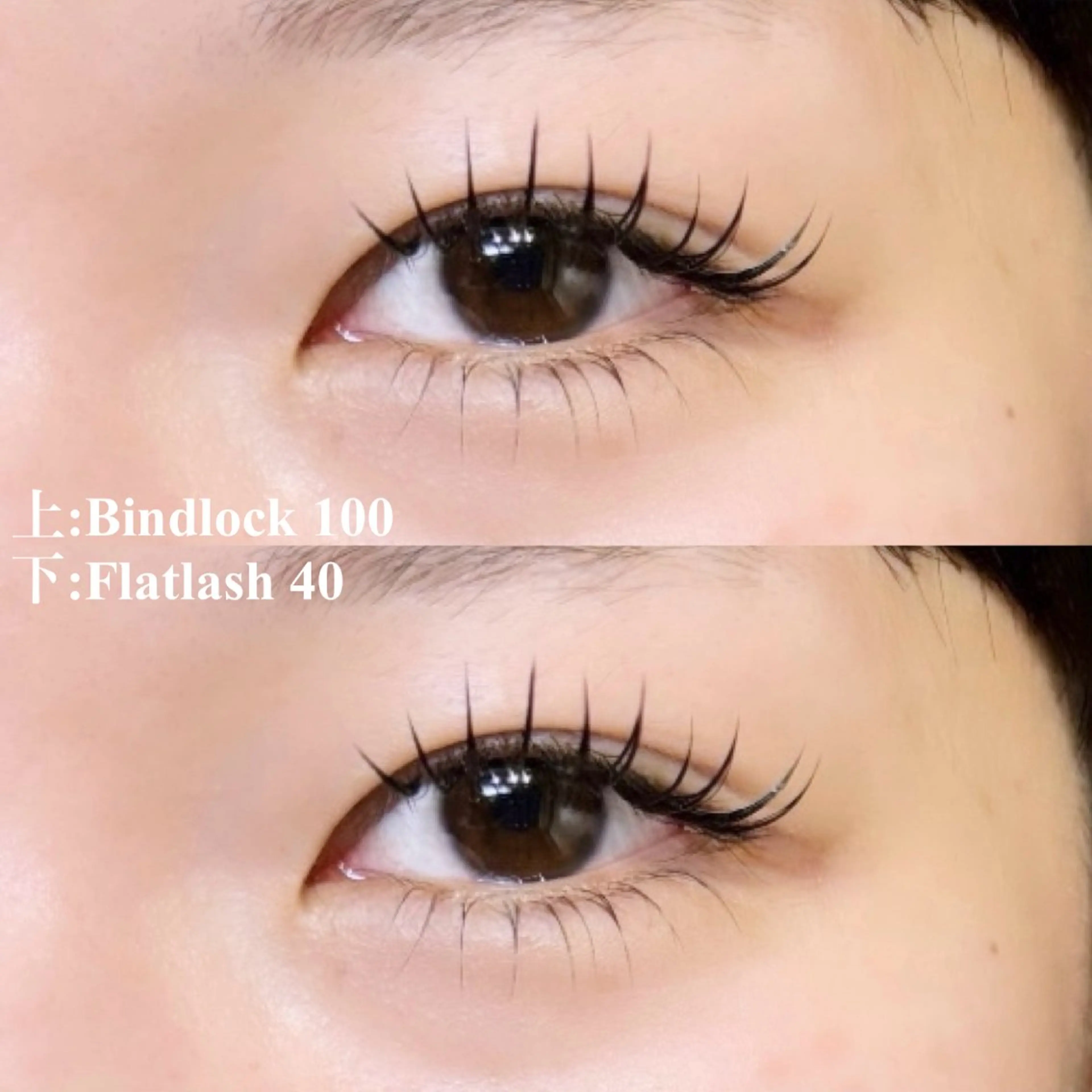 ⸜ ( ၴႅၴ⸝‍下まつ毛エクステつけ放題の写真