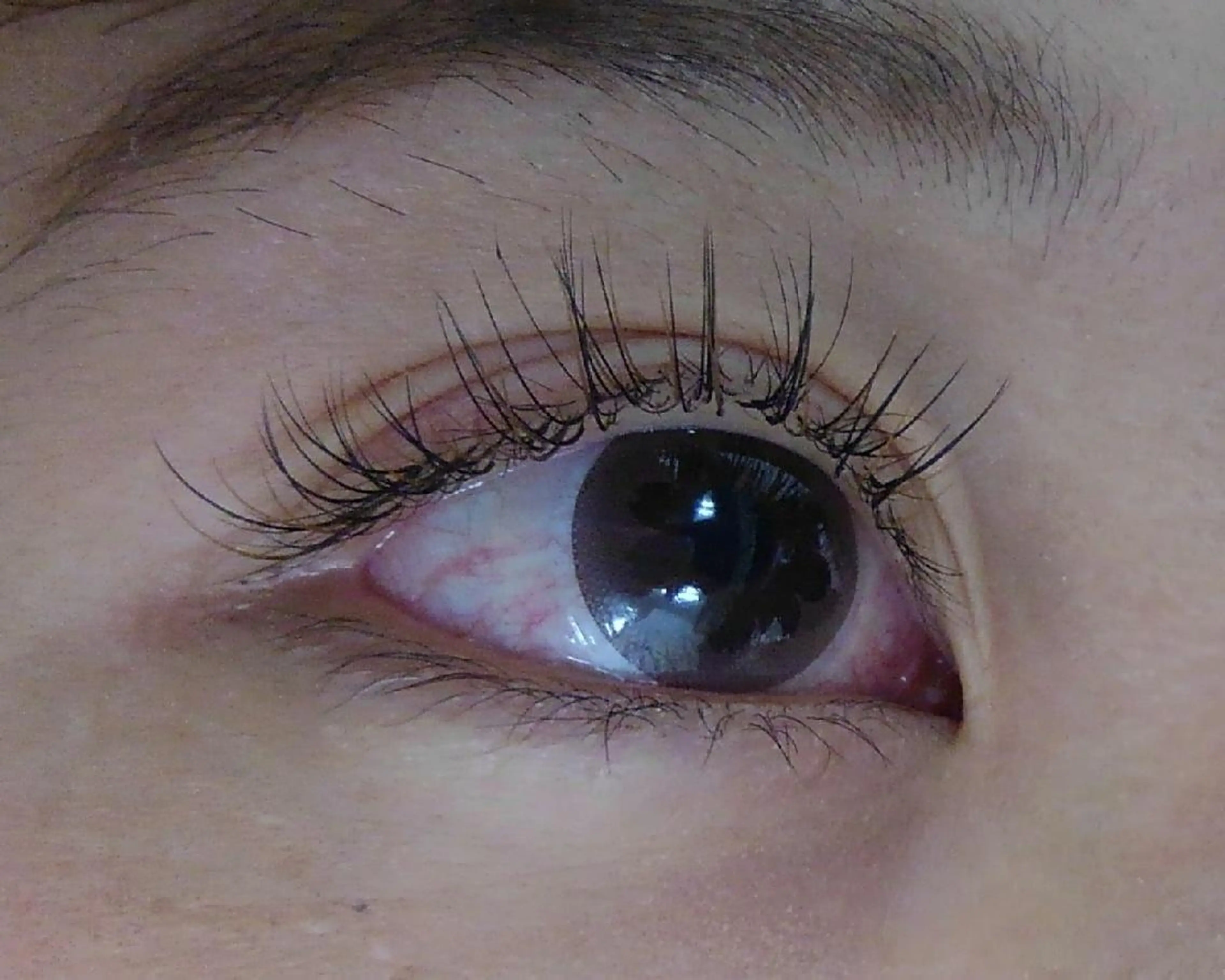 マツエク・マツパ マツエク siklap シクラプのマツエク・マツパデザイン