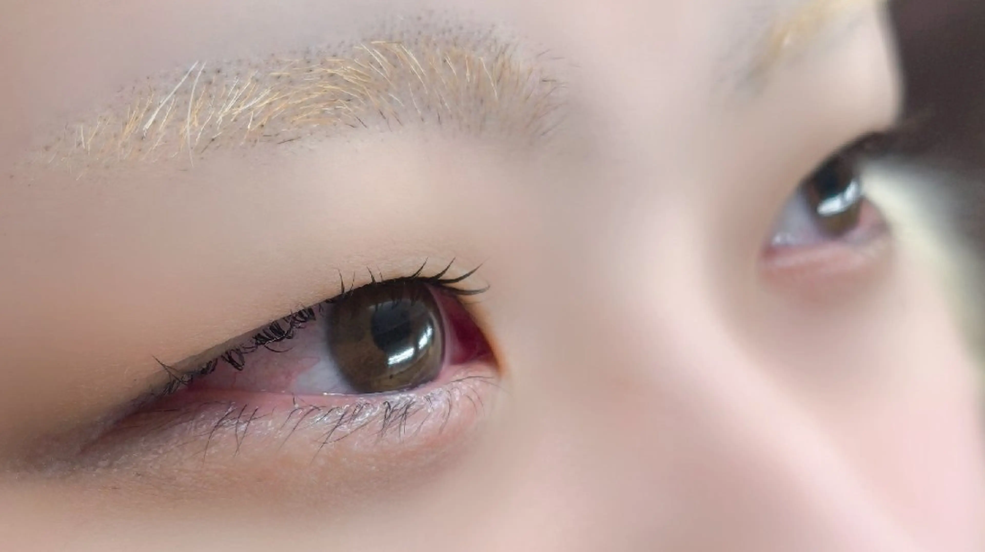 マツエク・マツパ パリジェンヌラッシュリフト 八子 ほのか/EYELA のマツエク・マツパデザイン