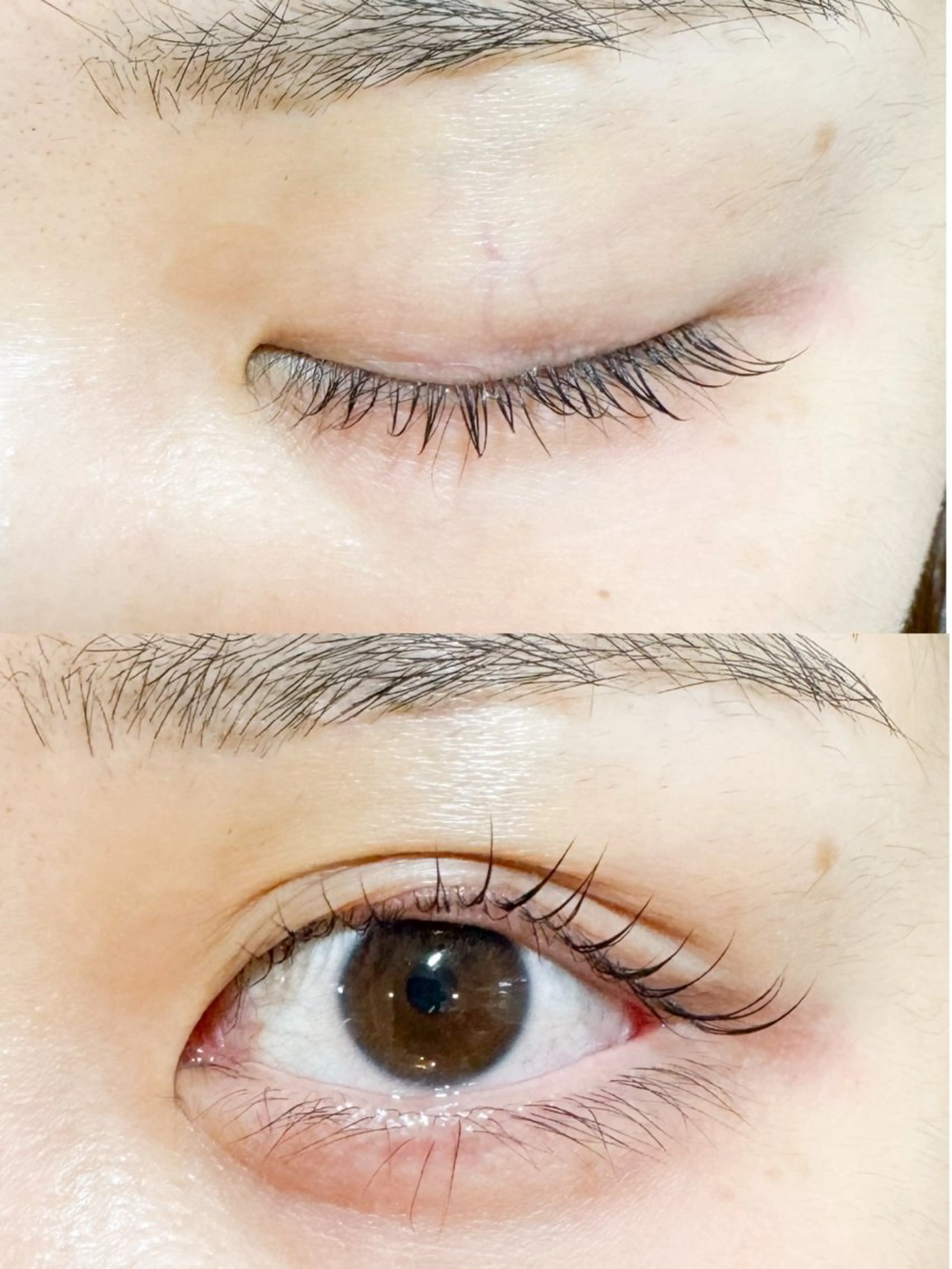 マツエク・マツパ まつげパーマ Isogai 𓏸𓍯﻿のマツエク・マツパデザイン