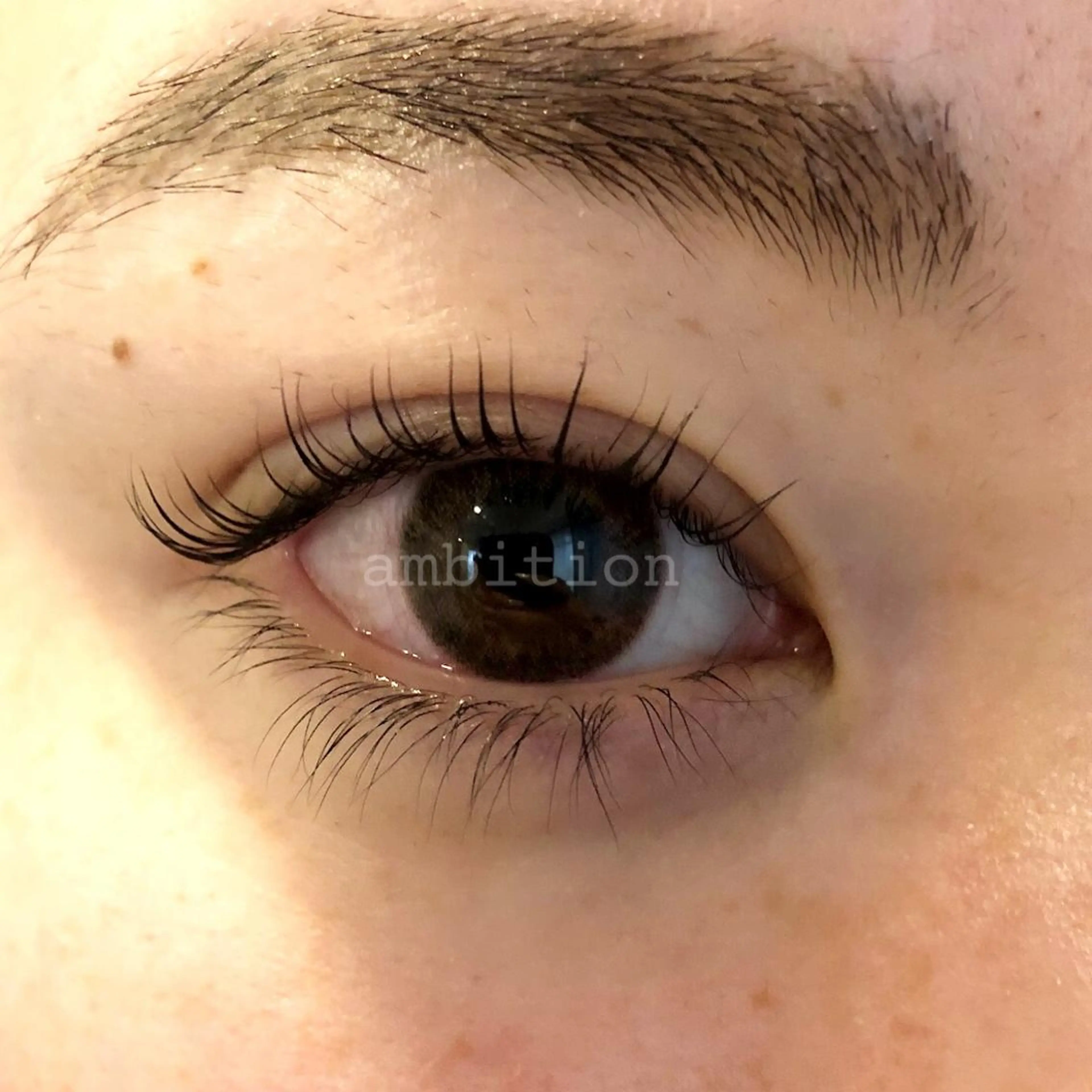 マツエク・マツパ まつげパーマ Daisy Lash 梅田本店のマツエク・マツパデザイン