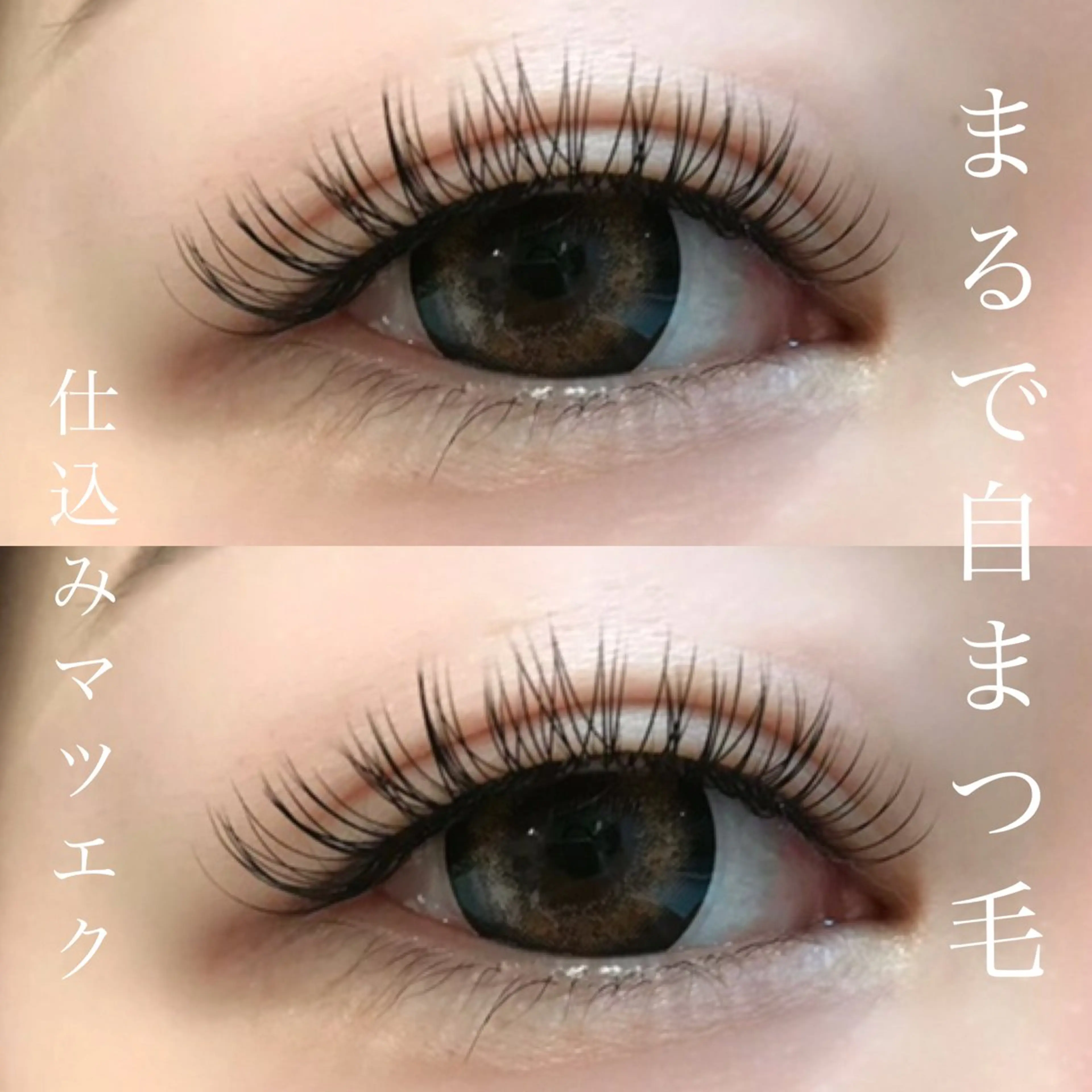 マツエク・マツパ Cカール マツエク メイクアップサロン 【Aquarius】のマツエク・マツパデザイン