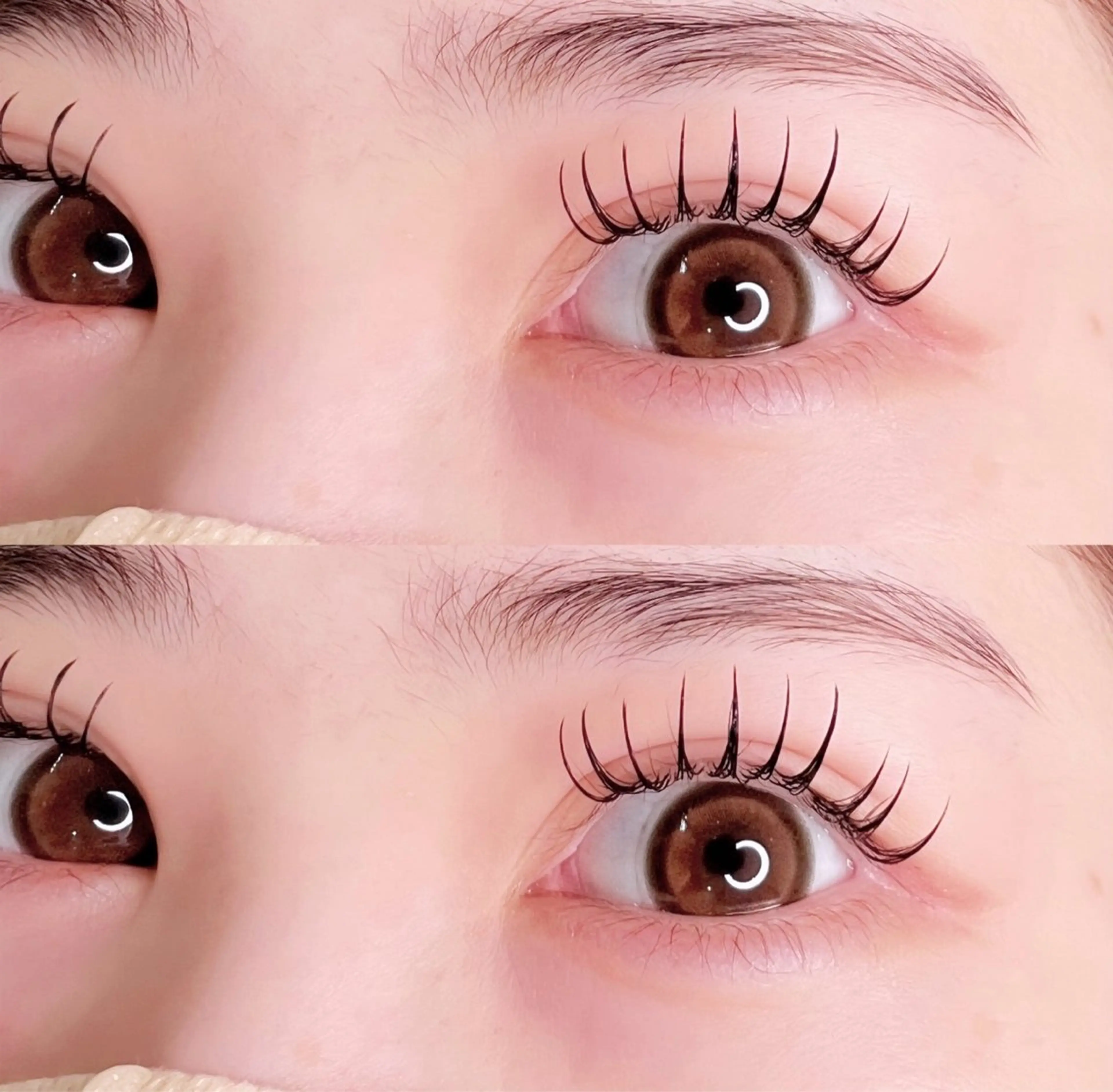 🌼フラットラッシュ100本 アイシャンプー+コーティング付🌼の写真