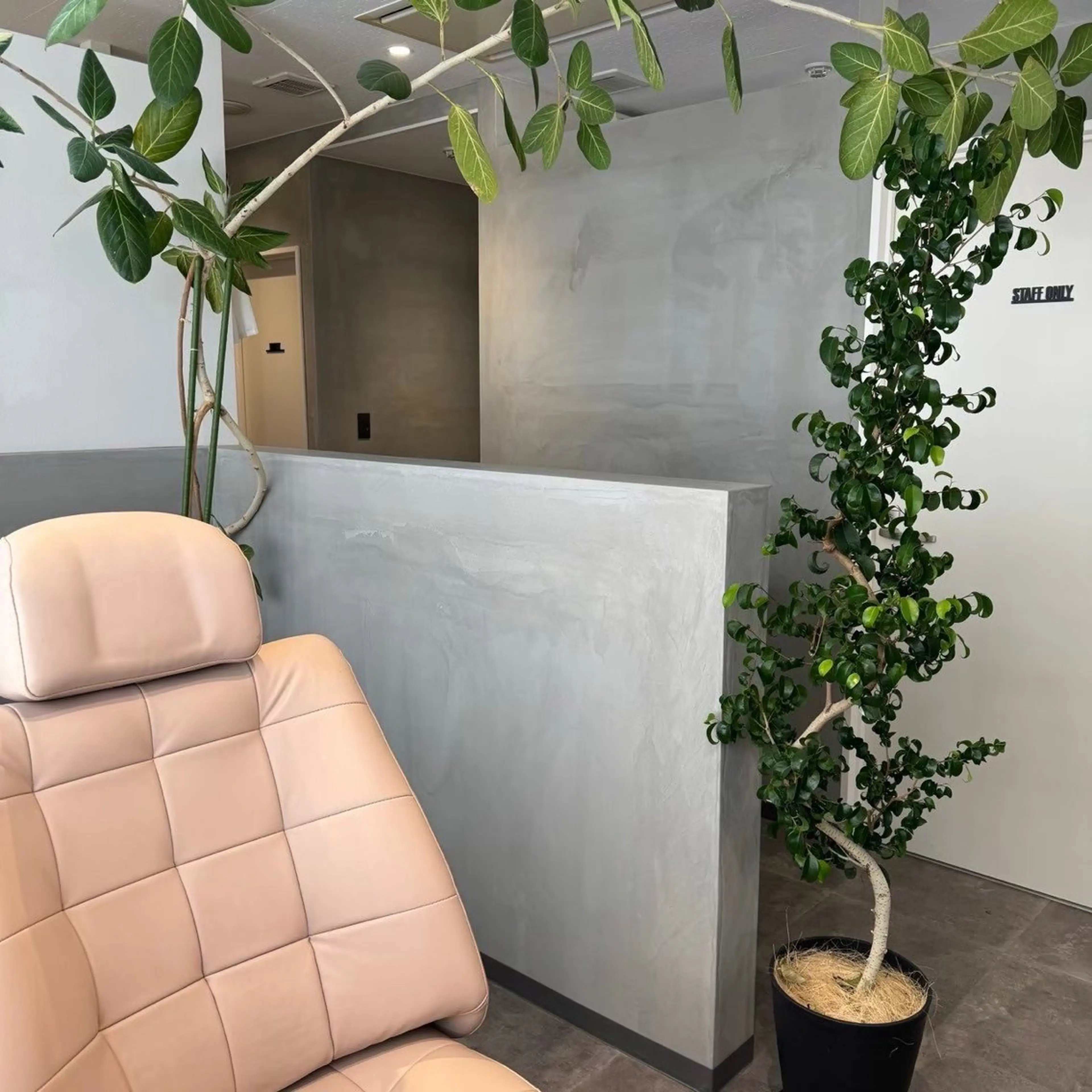 アイブロウ Eyore rikakoのマツエク・マツパデザイン