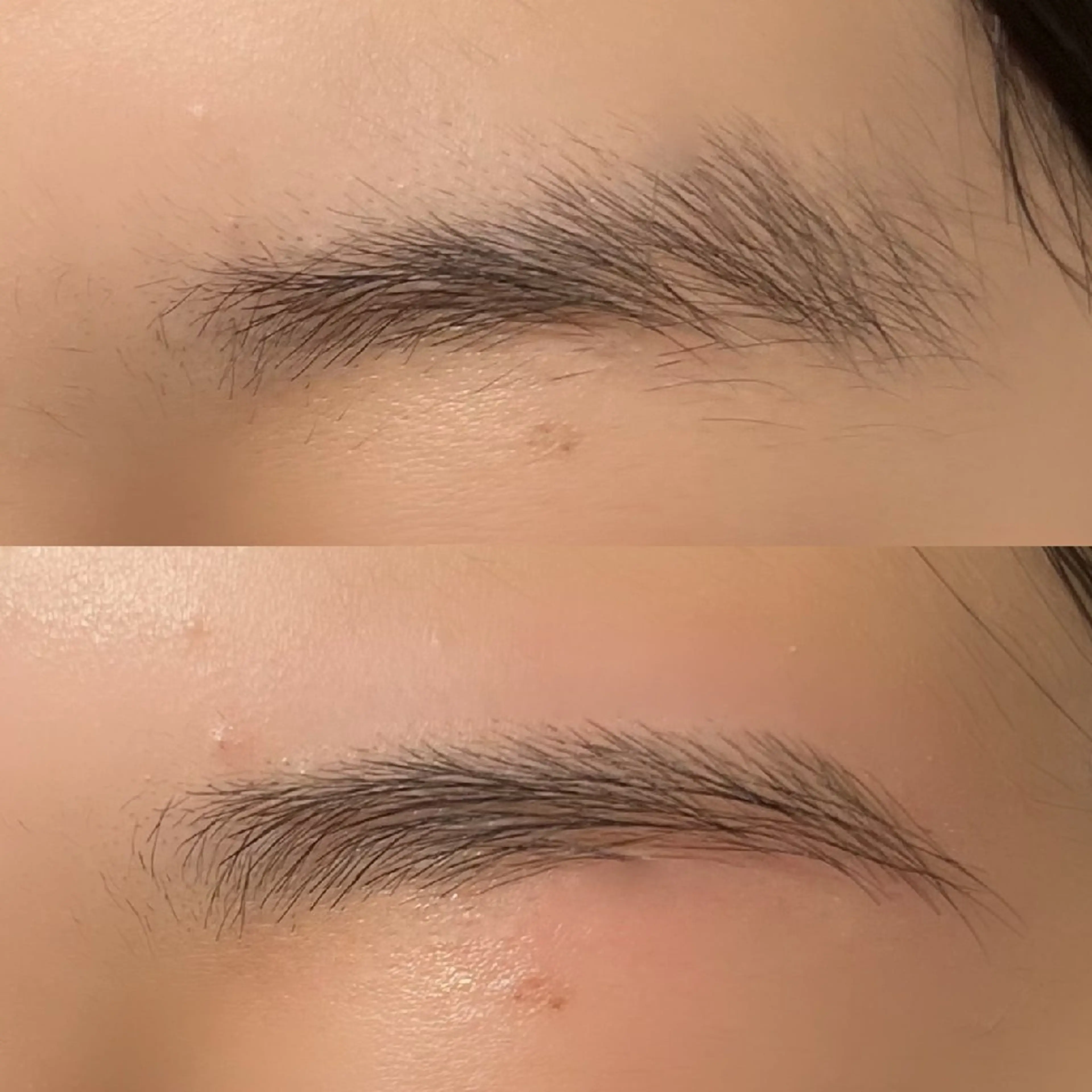 今だけ限定メニュー！眉毛WAXの写真