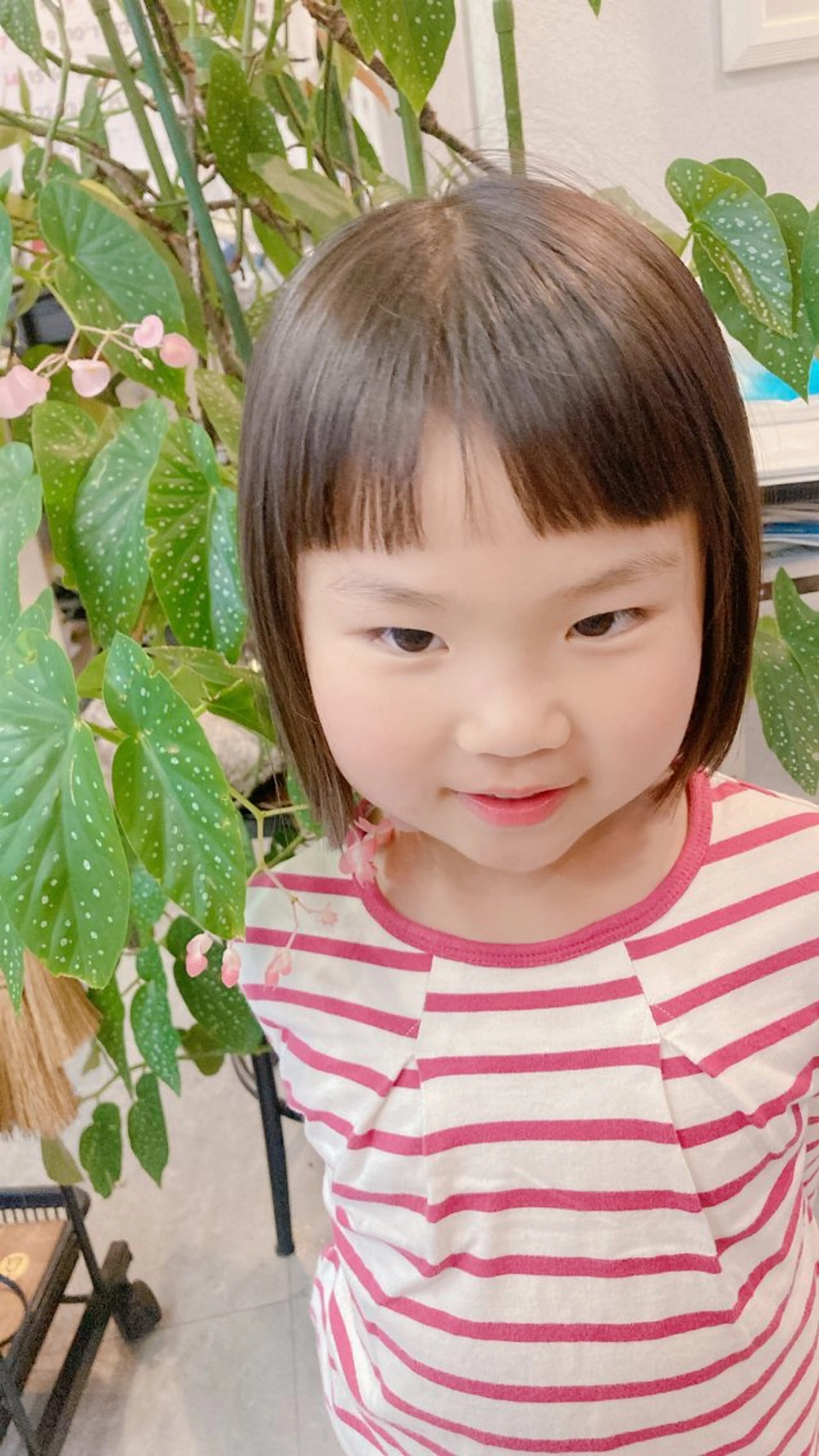 キッズカットの写真