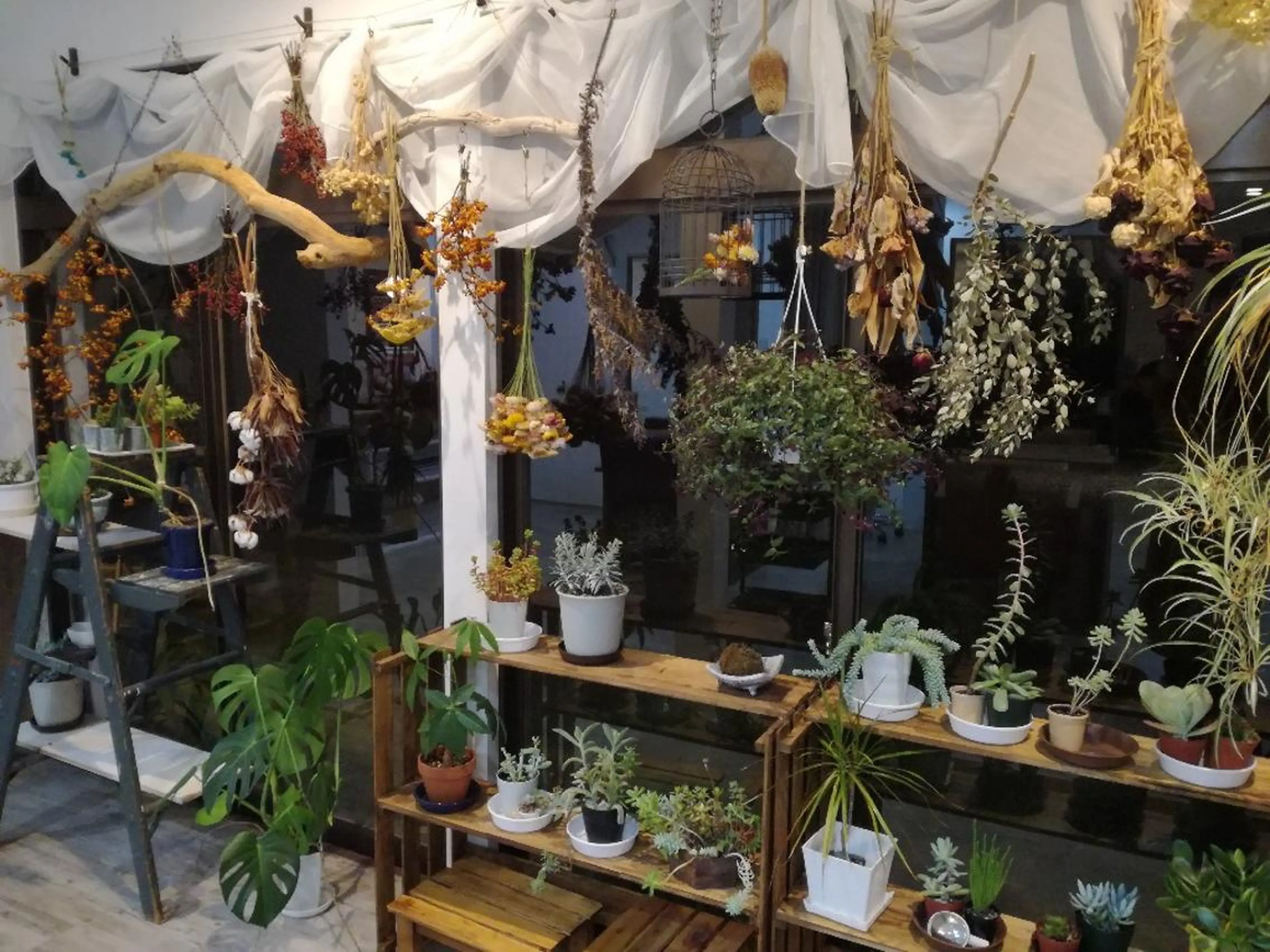 佐藤 美咲のヘアスタイル