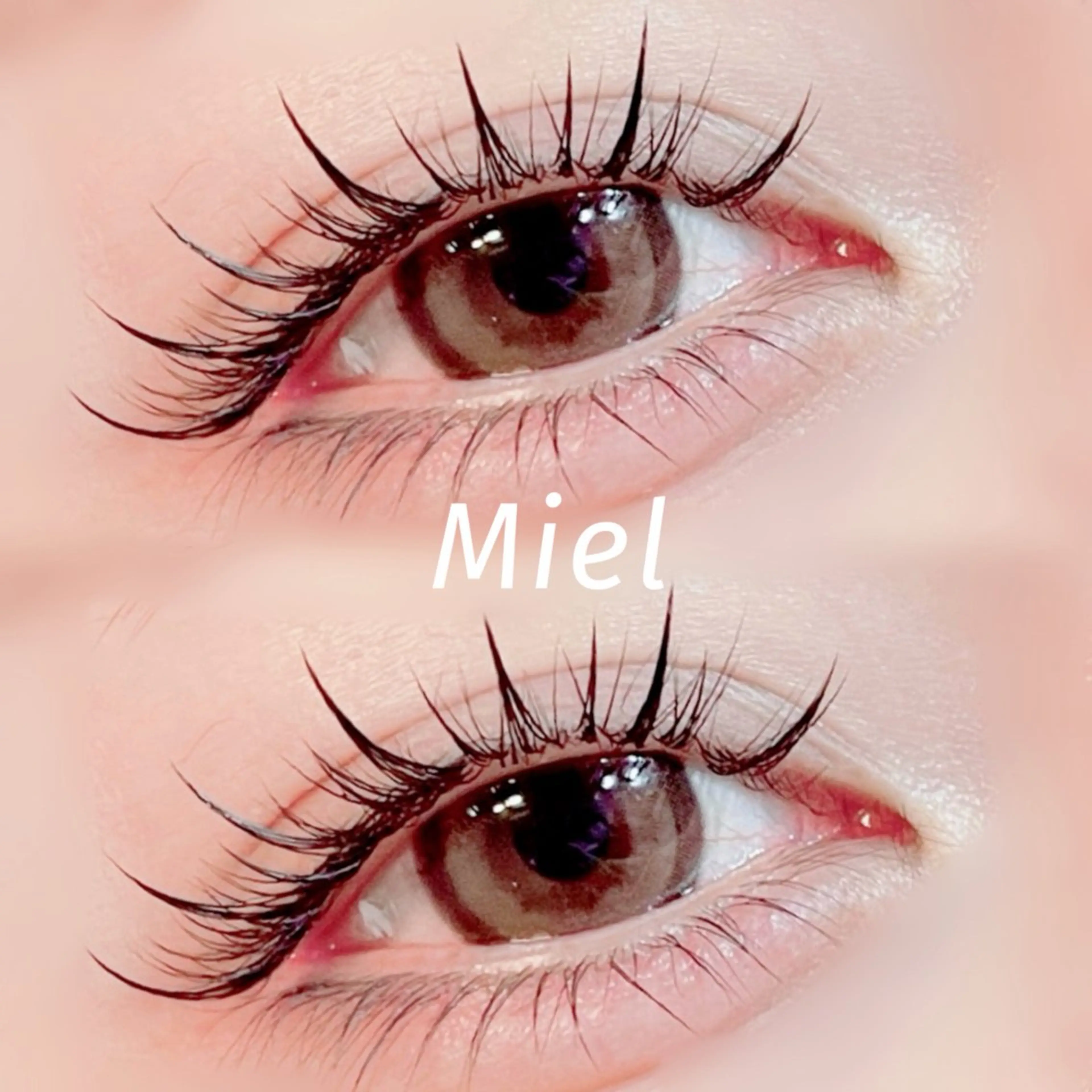 マツエク・マツパ カラーマツエク フラットラッシュ ボリュームラッシュ ワンホンマツエク Mori ✨Mystical✨のマツエク・マツパデザイン