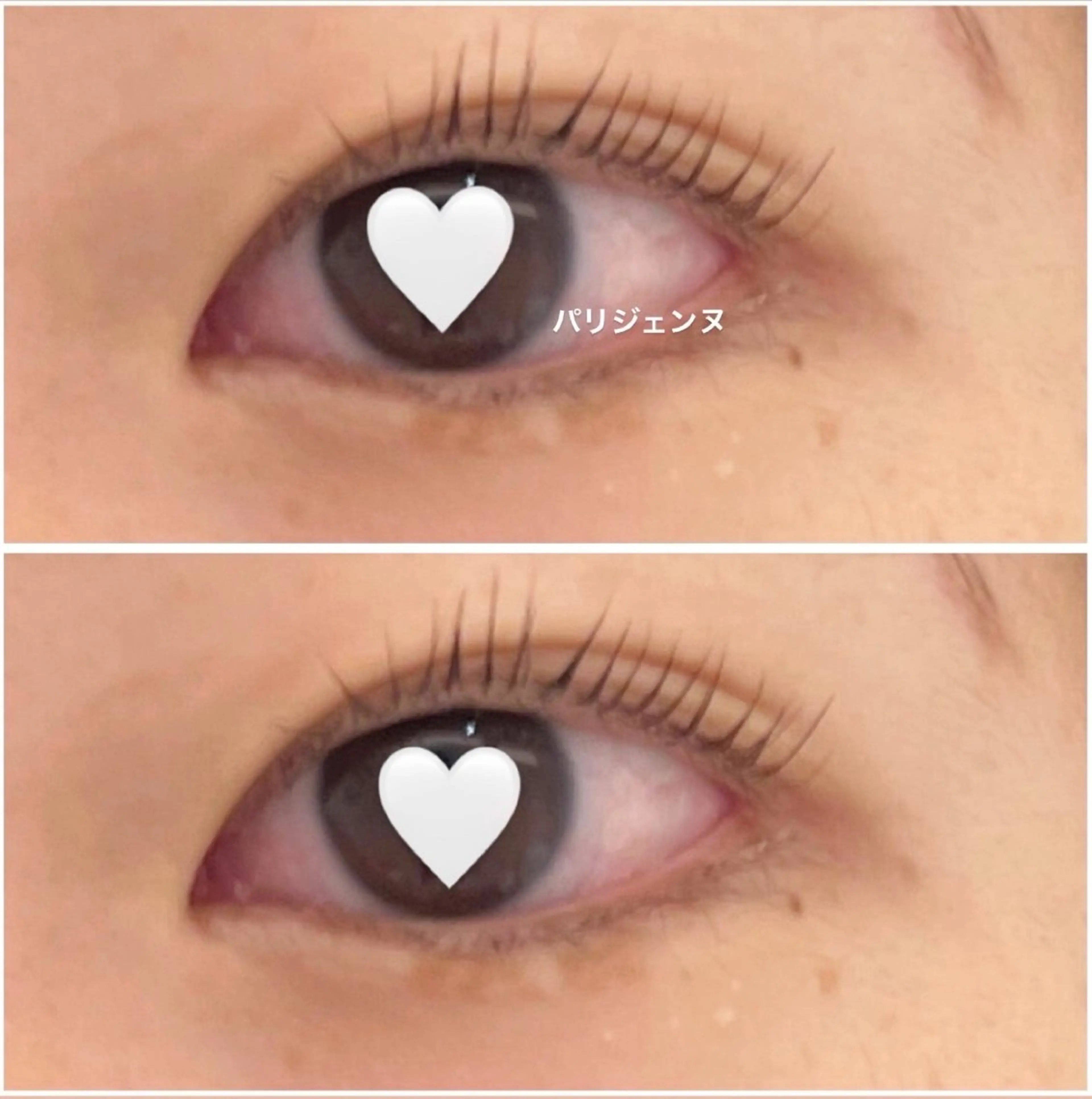 ✨パリジェンヌラッシュリフトモデル募集👀の写真