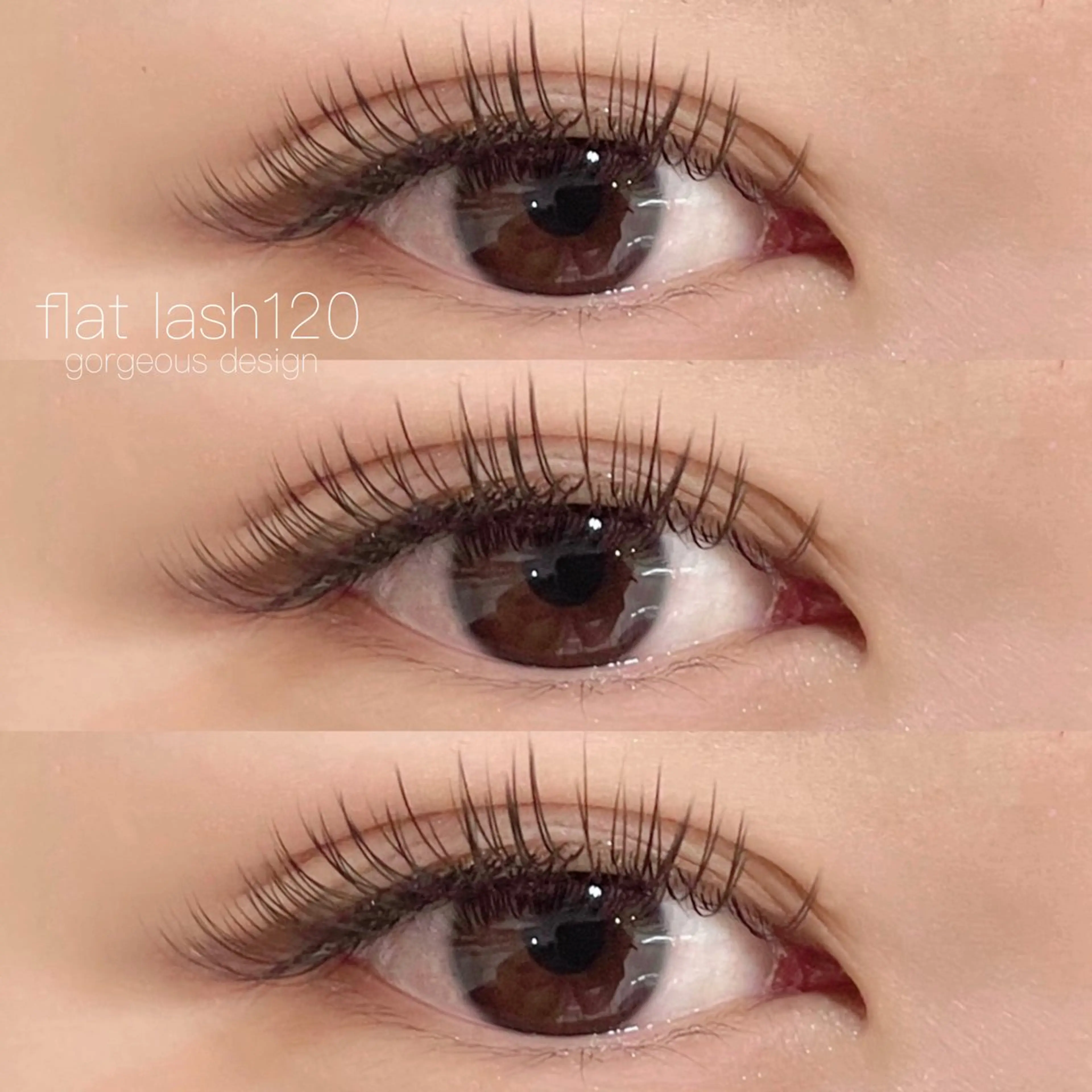 【フラットラッシュ】120本（オフ込み）🎀🎶の写真