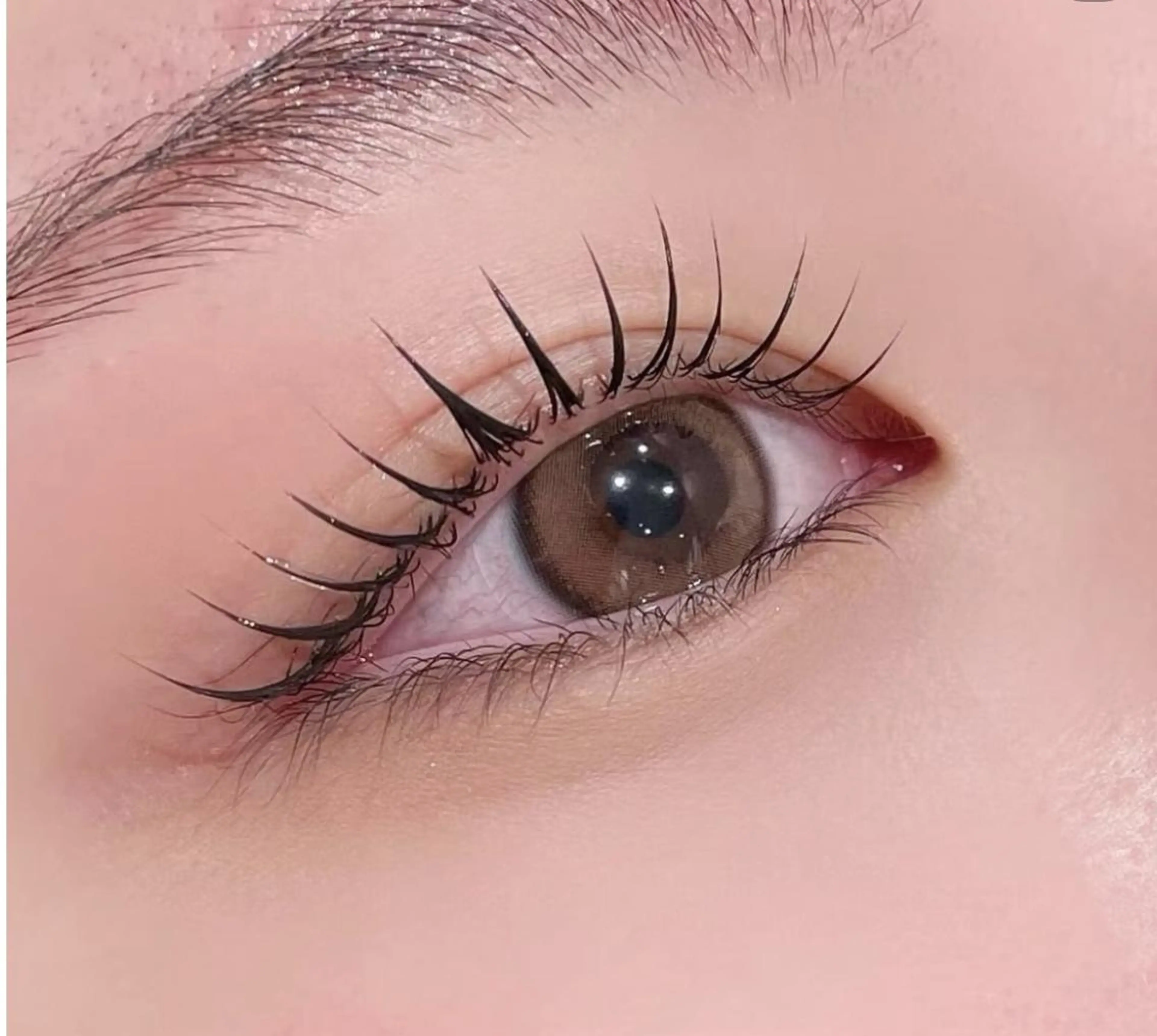 マツエク・マツパ 束感まつ毛 韓国風マツエク パリジェンヌラッシュリフト まつげパーマ マジックガール/ 鈴木のマツエク・マツパデザイン