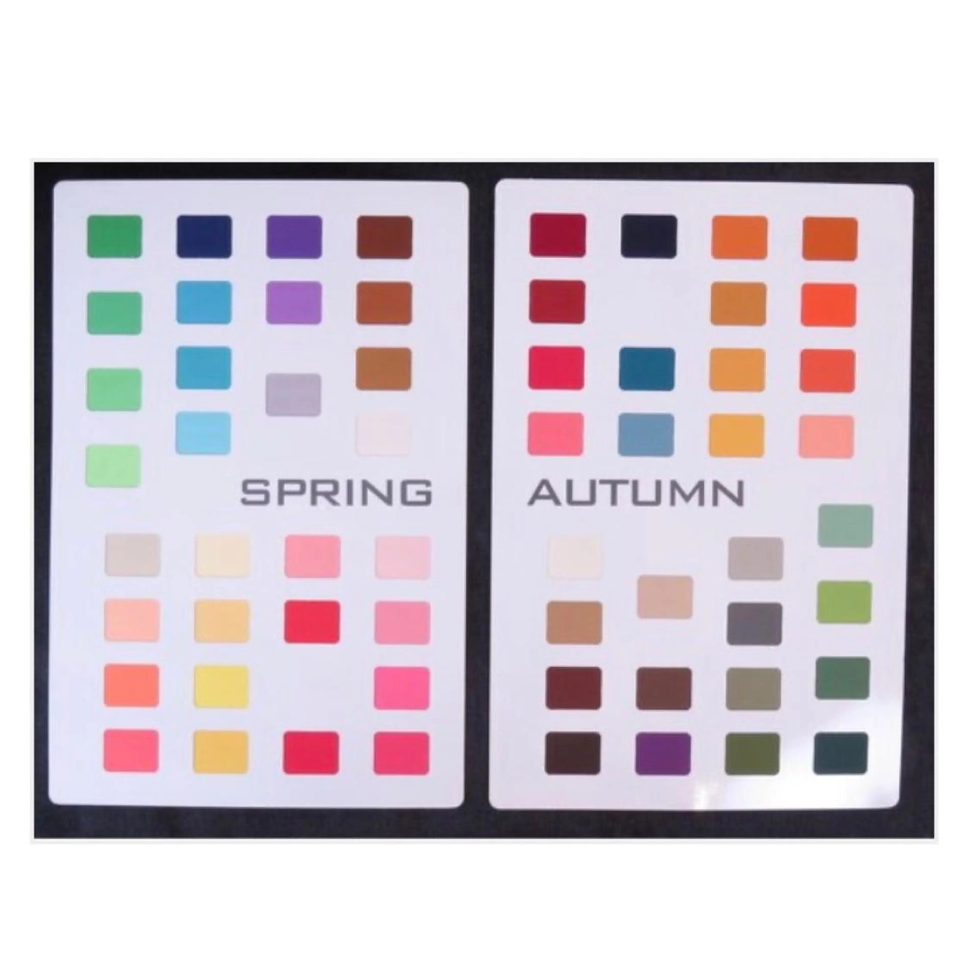 パーソナルカラー診断 骨格診断 レディゴ.のその他イメージ