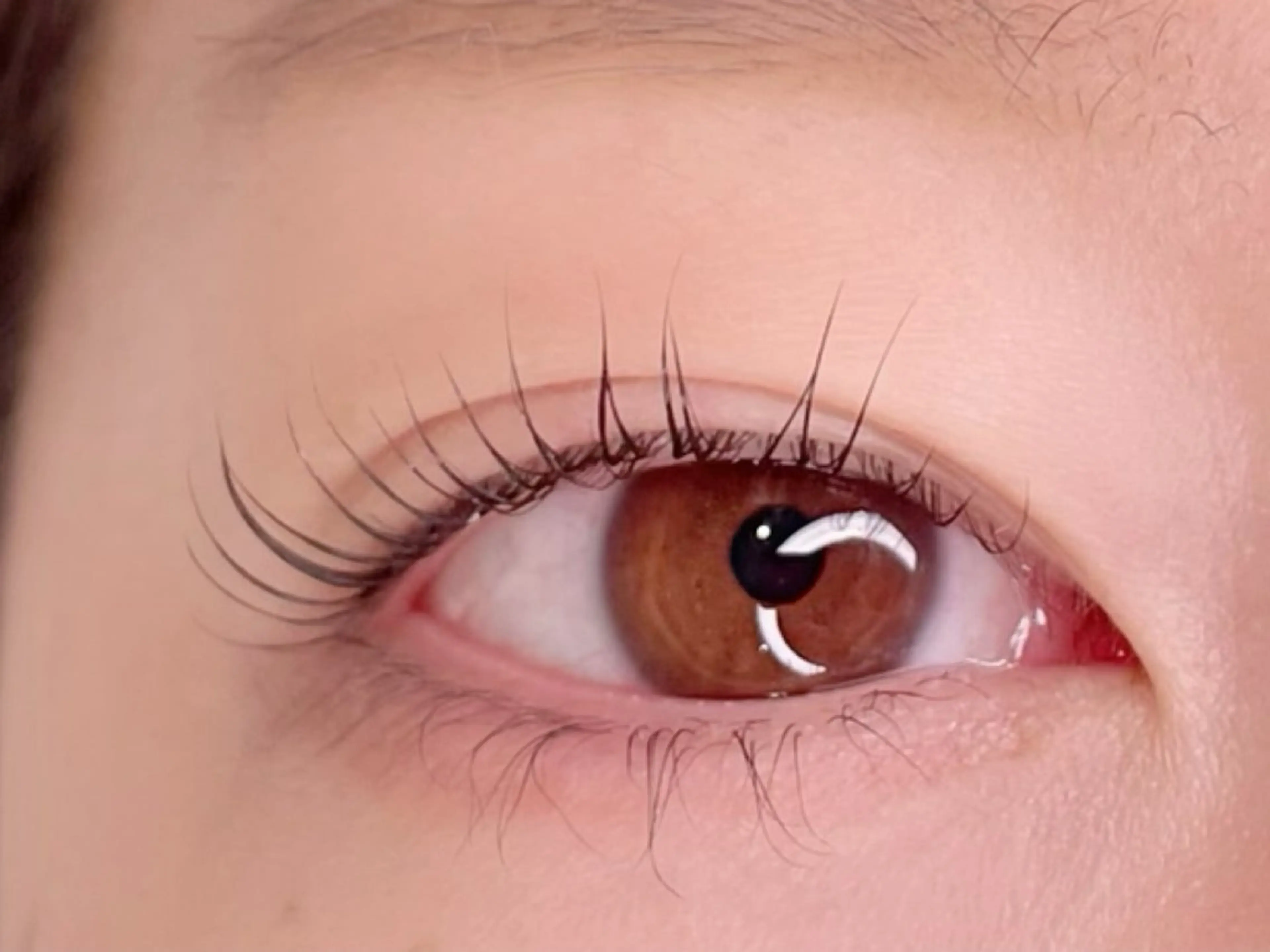 マツエク・マツパ 新柏PALS mihoのマツエク・マツパデザイン