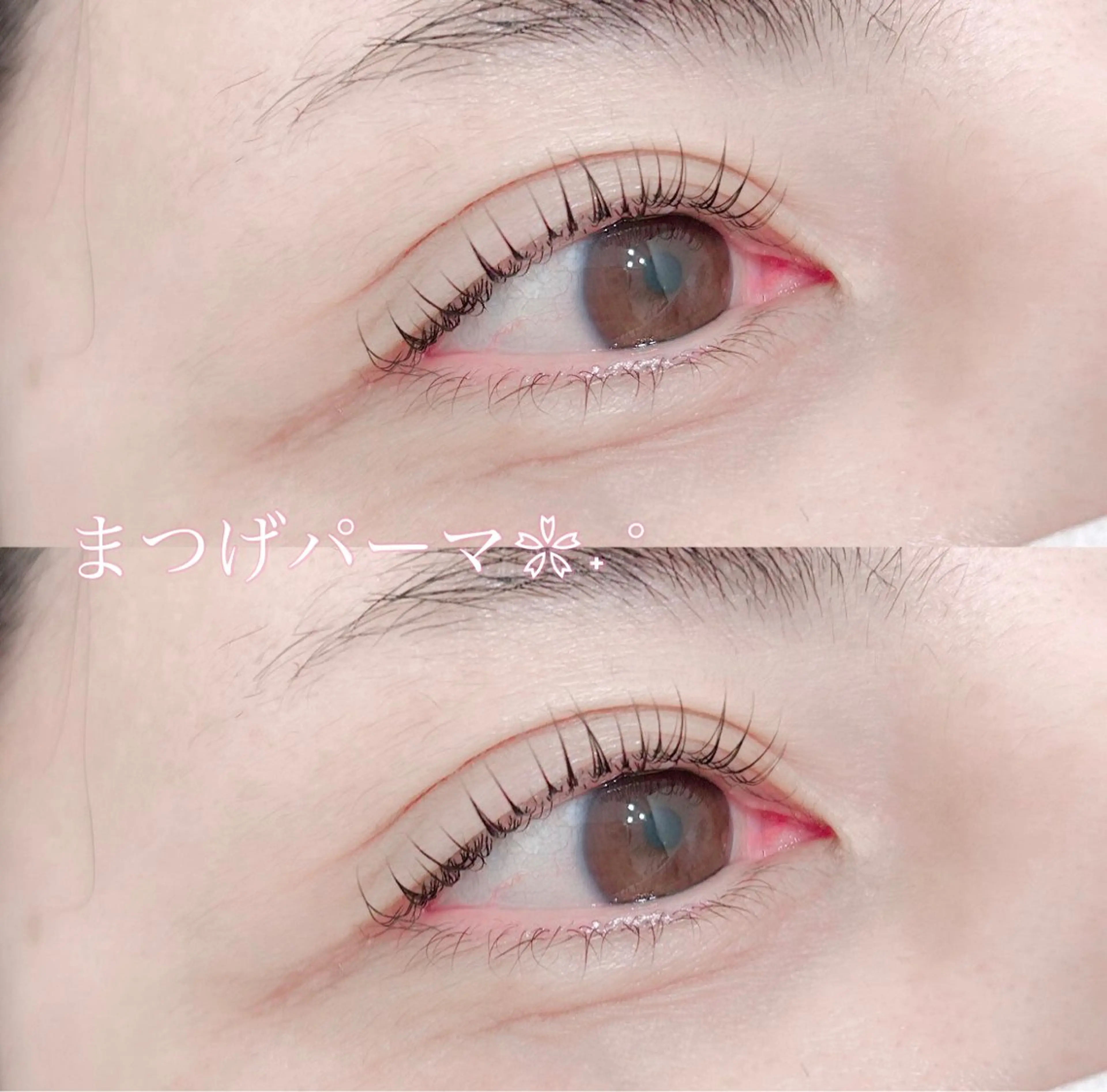 マツエク・マツパ ナチュラル まつげパーマ hair&eyelash Lucia 東三国店所属・袈叶 ✨のヘアスタイル